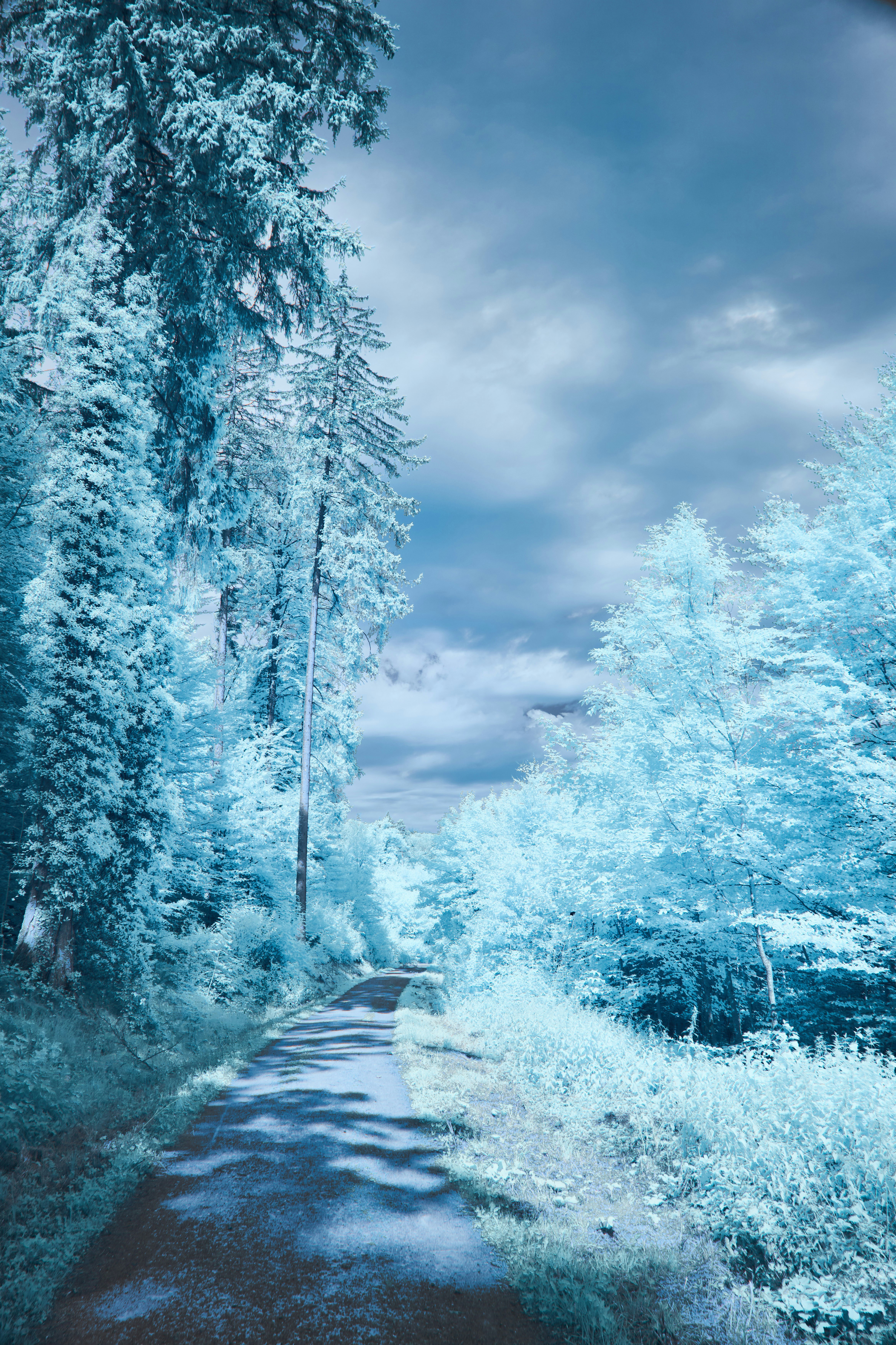 Photo by wolfgang_hasselmann