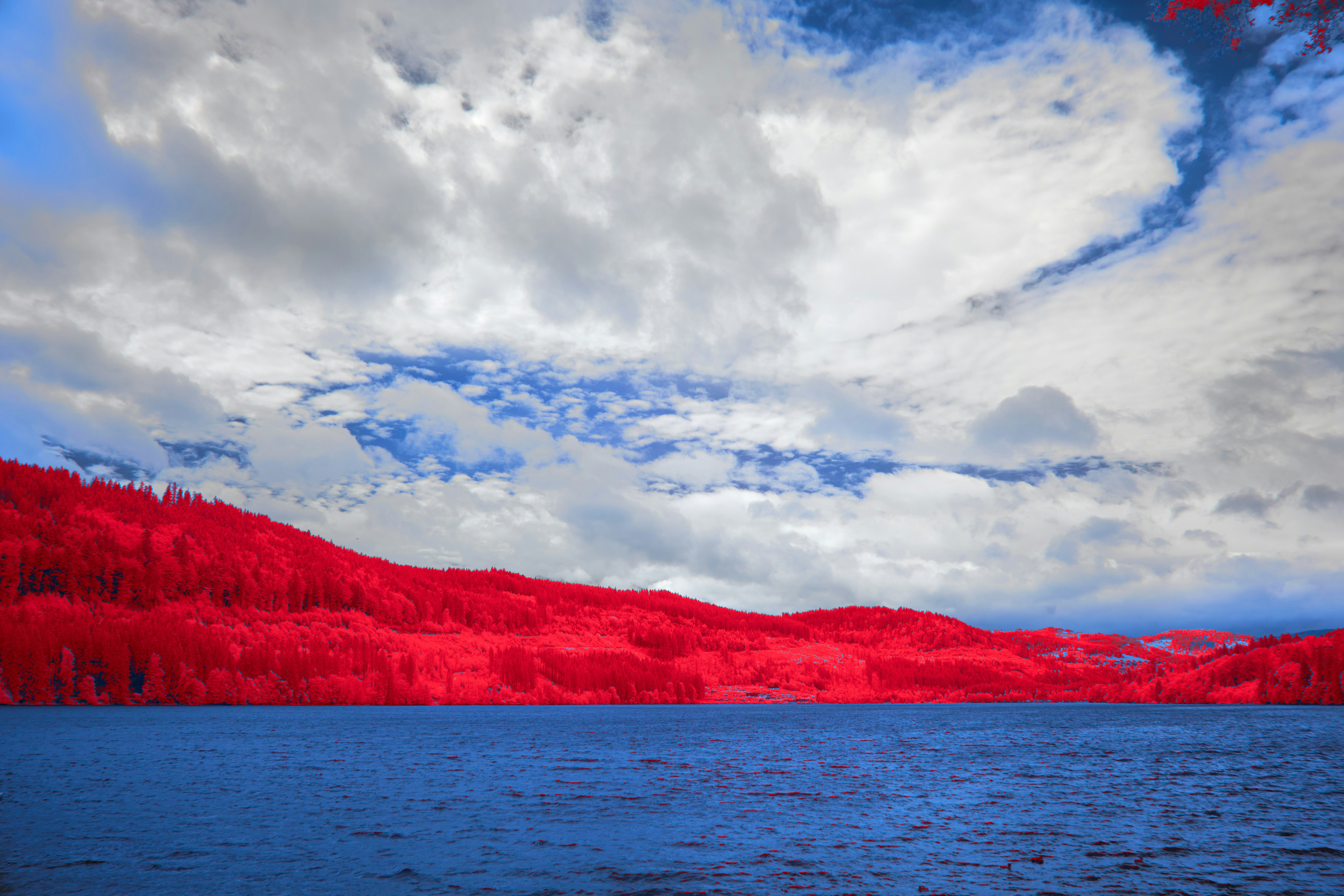 Photo by wolfgang_hasselmann