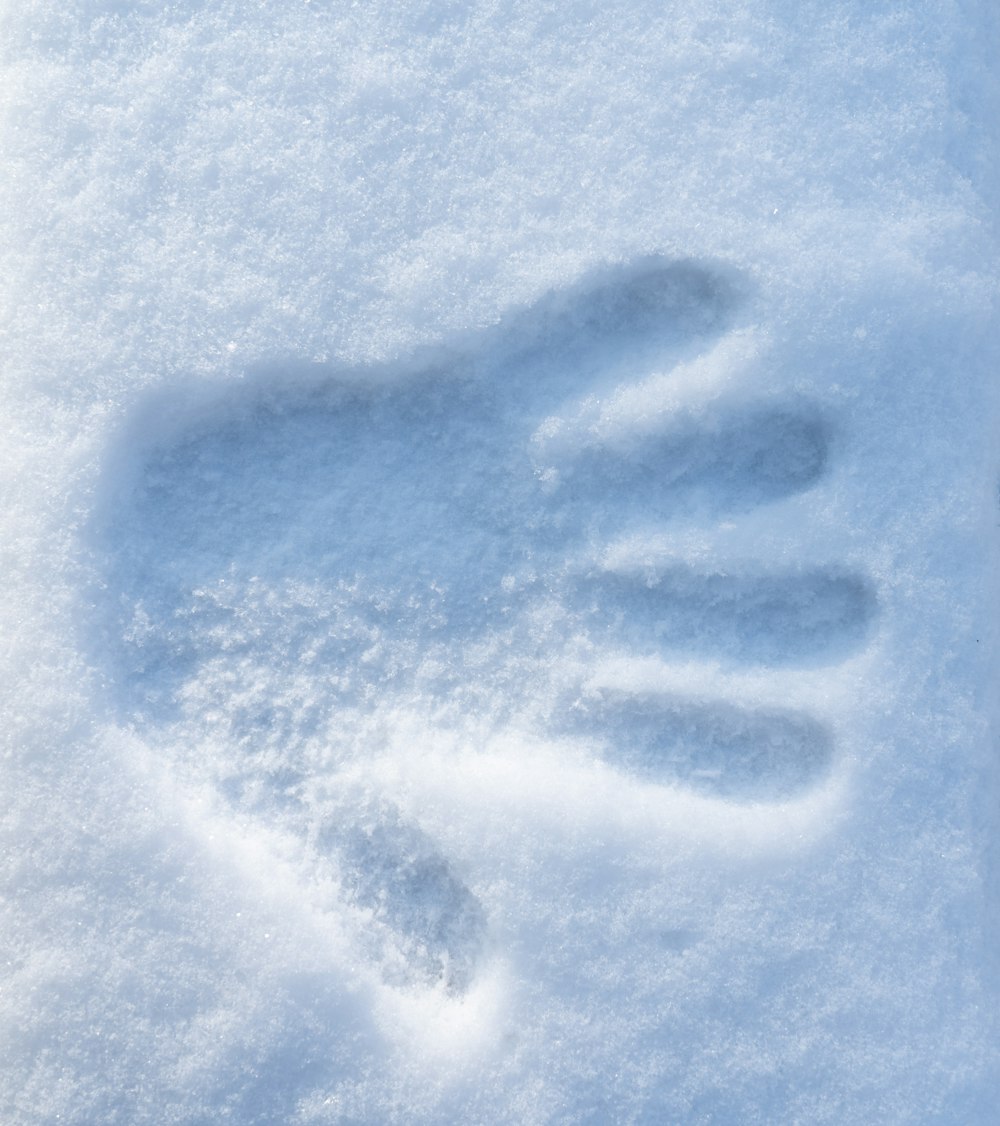 a person's foot prints in the snow