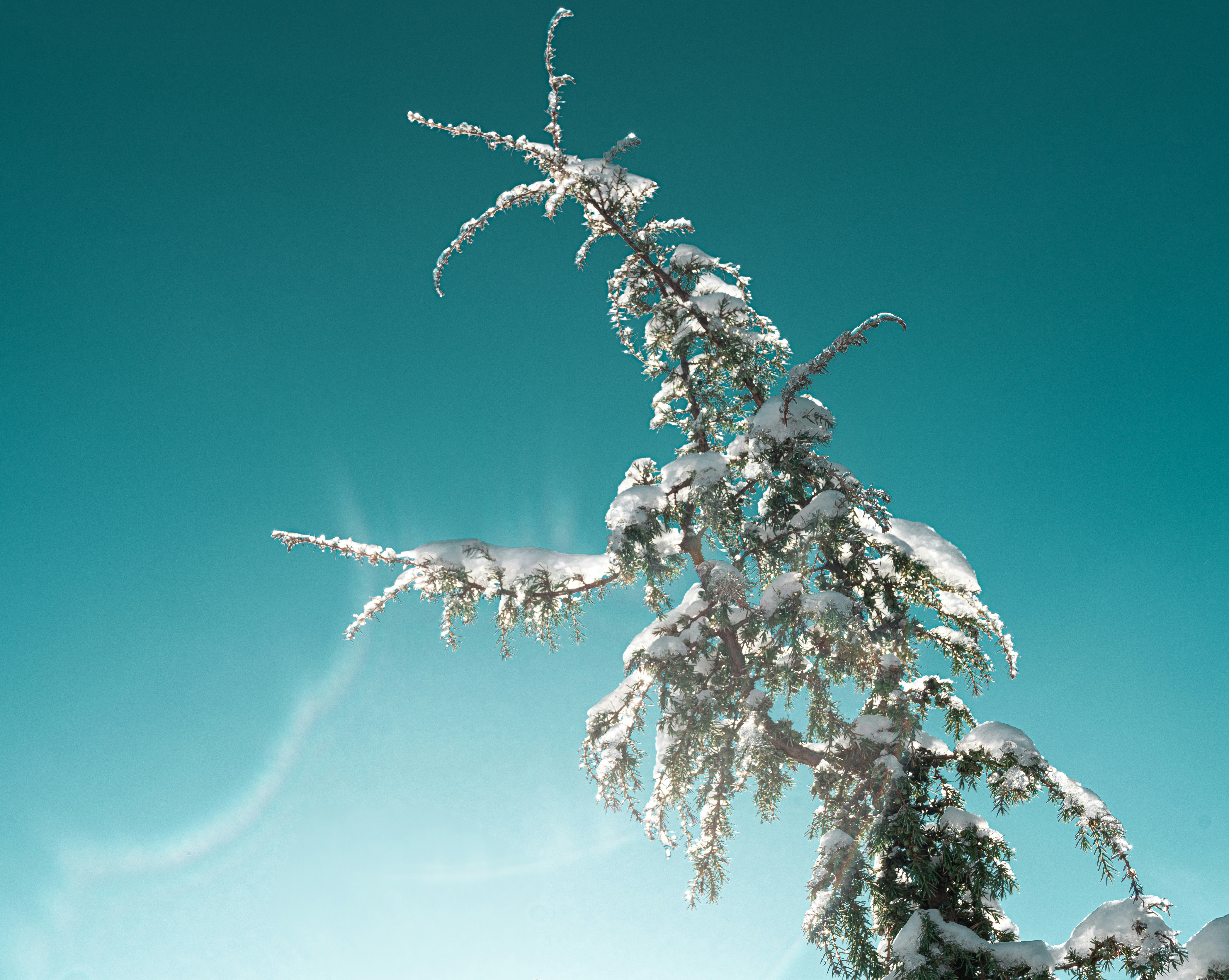 Photo by hyggesalpaka