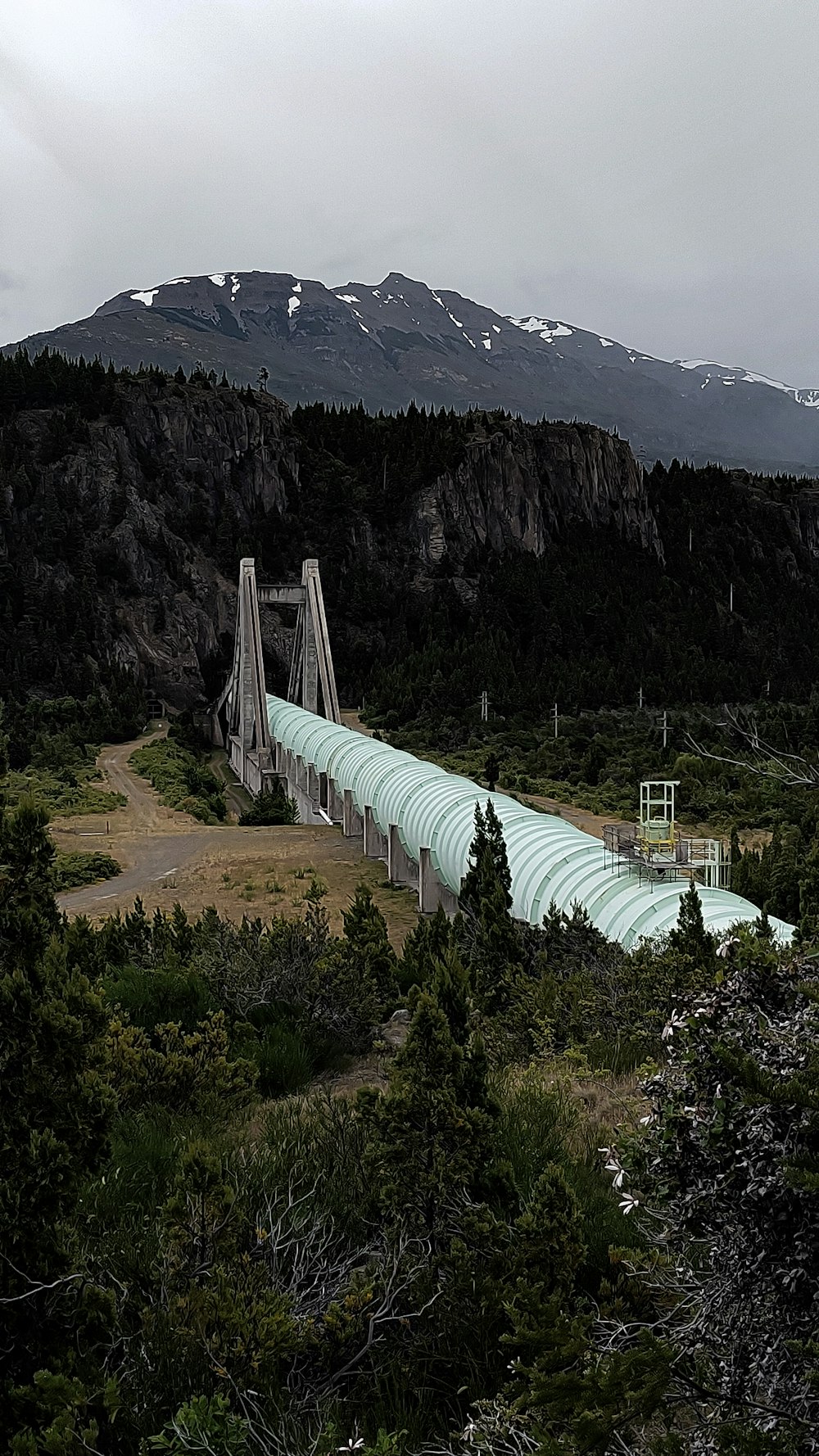 a train traveling over a bridge surrounded by trees