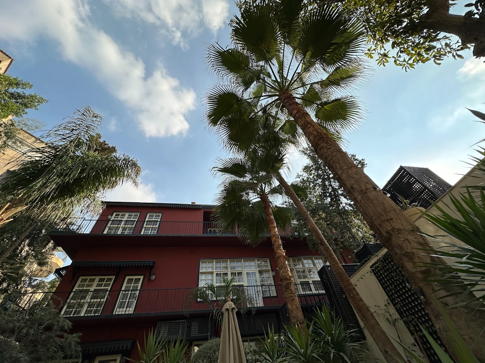 a red building with a palm tree in front of it