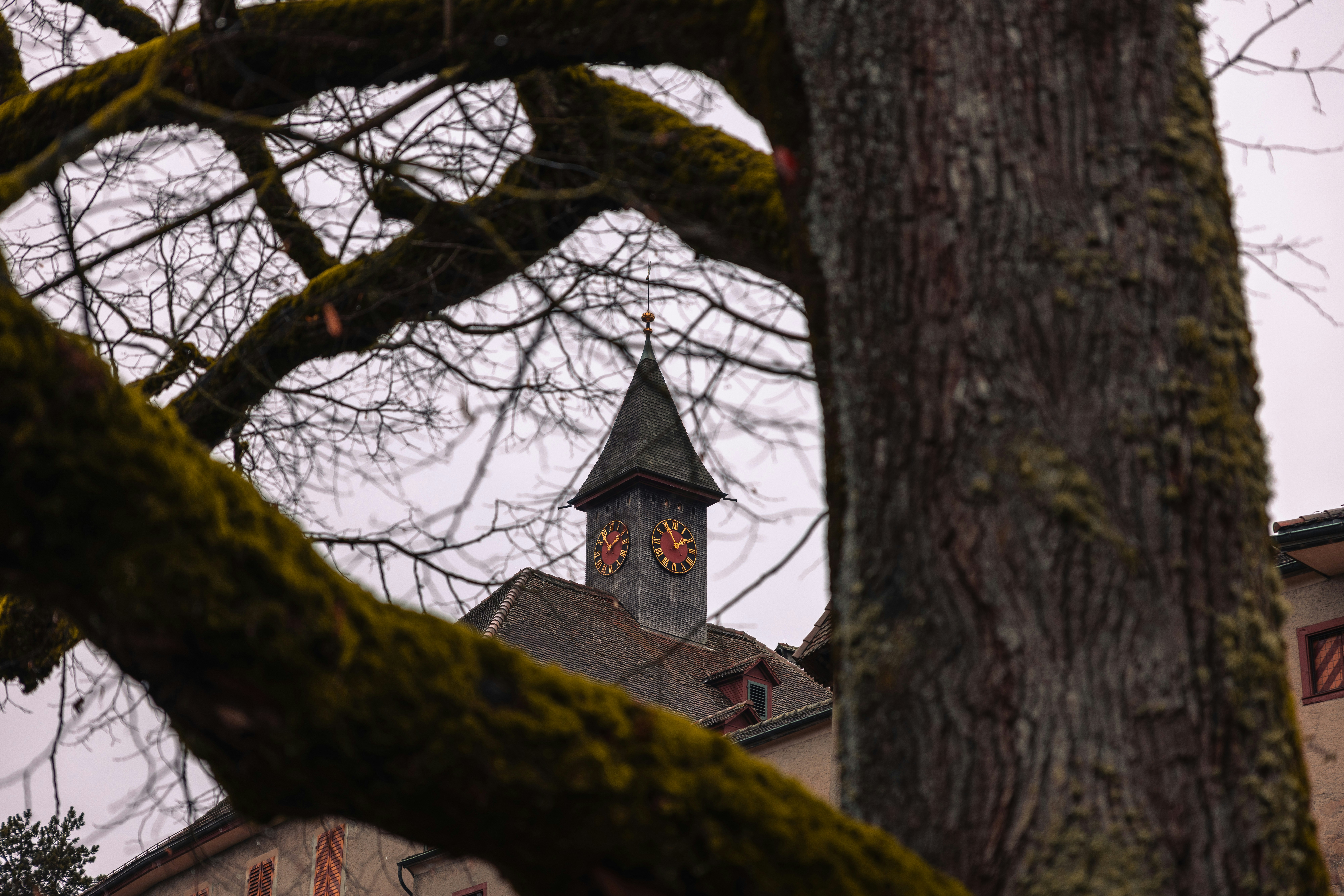 Photo by christian_dubendorfer