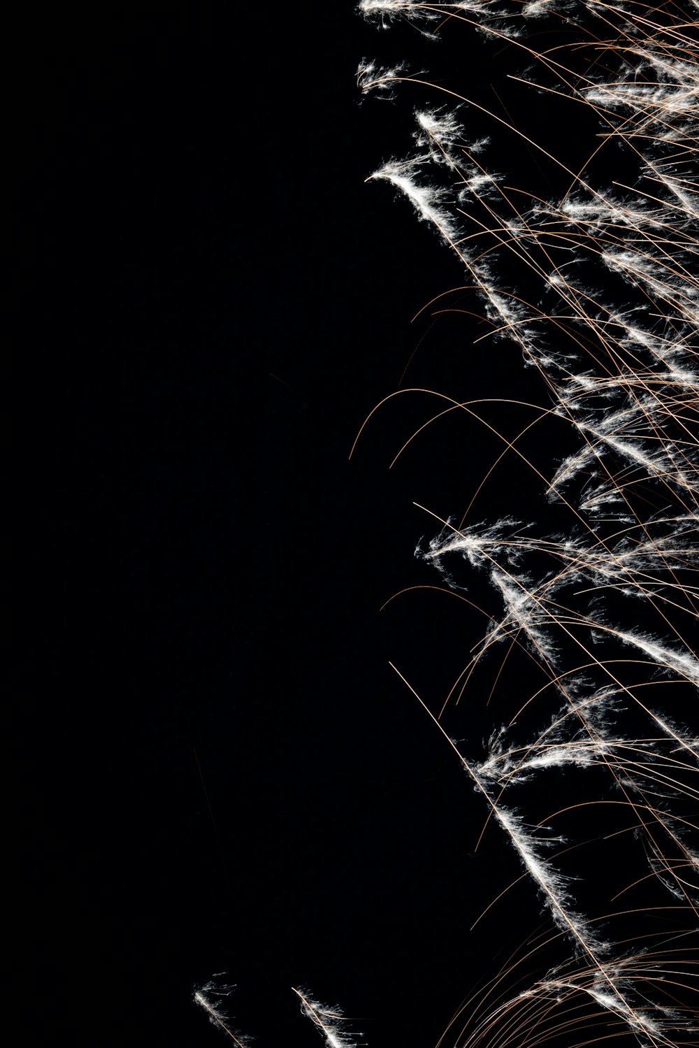 a long exposure of fireworks in the dark sky