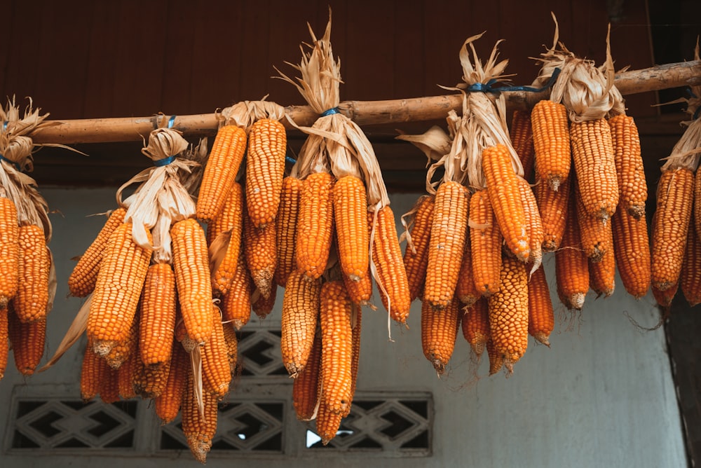 a bunch of corn hanging from a line