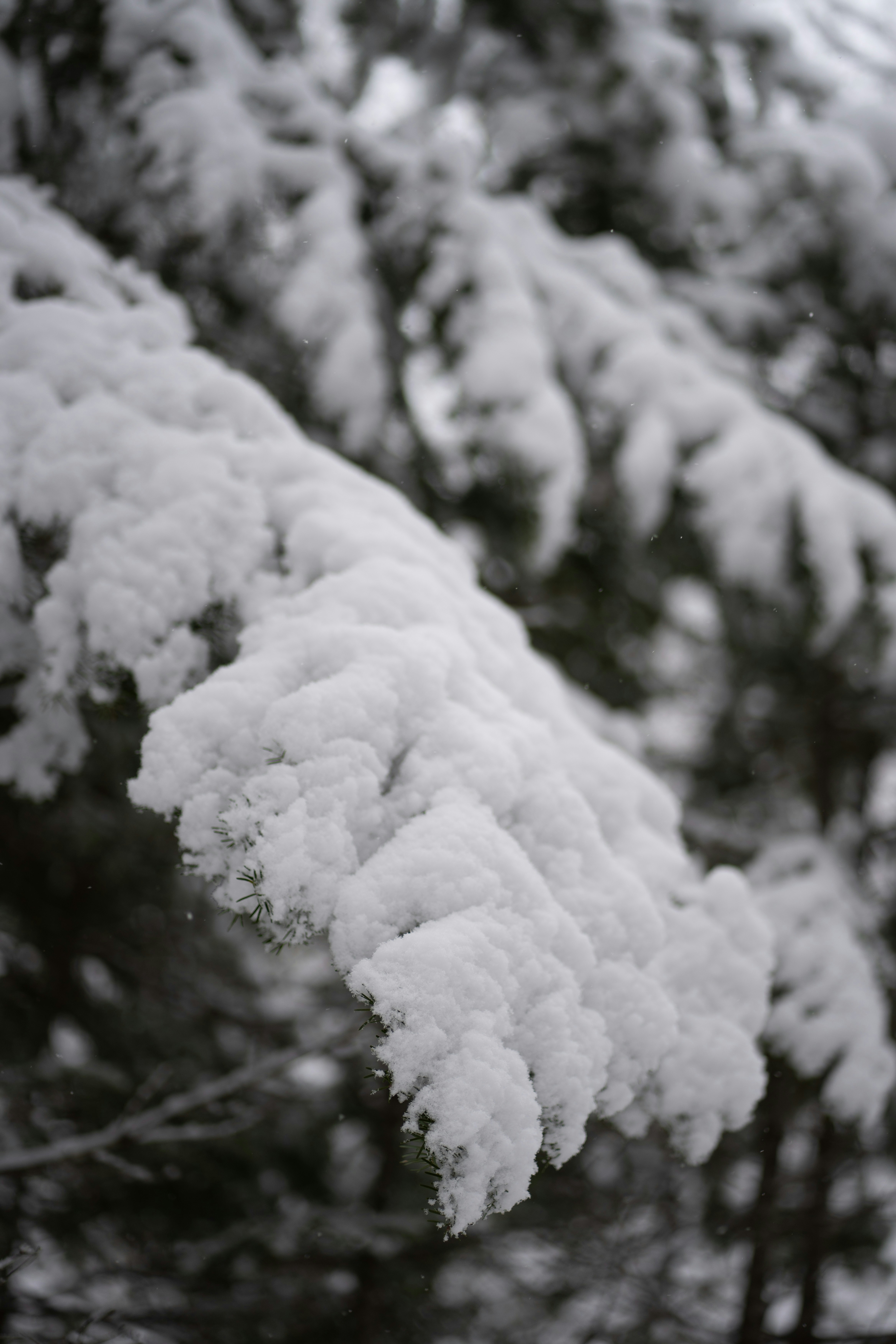 Photo by jltphotographe