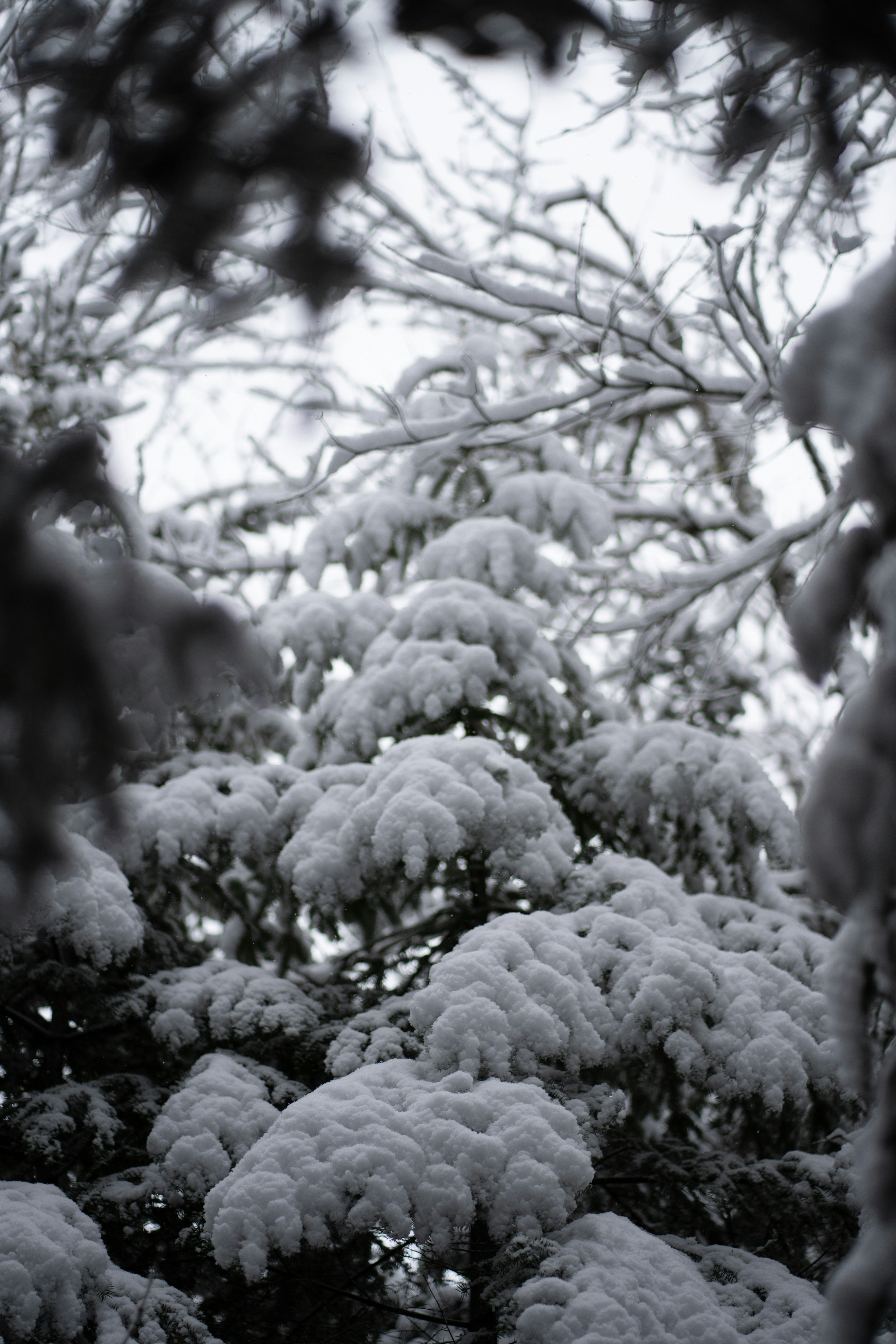 Photo by jltphotographe