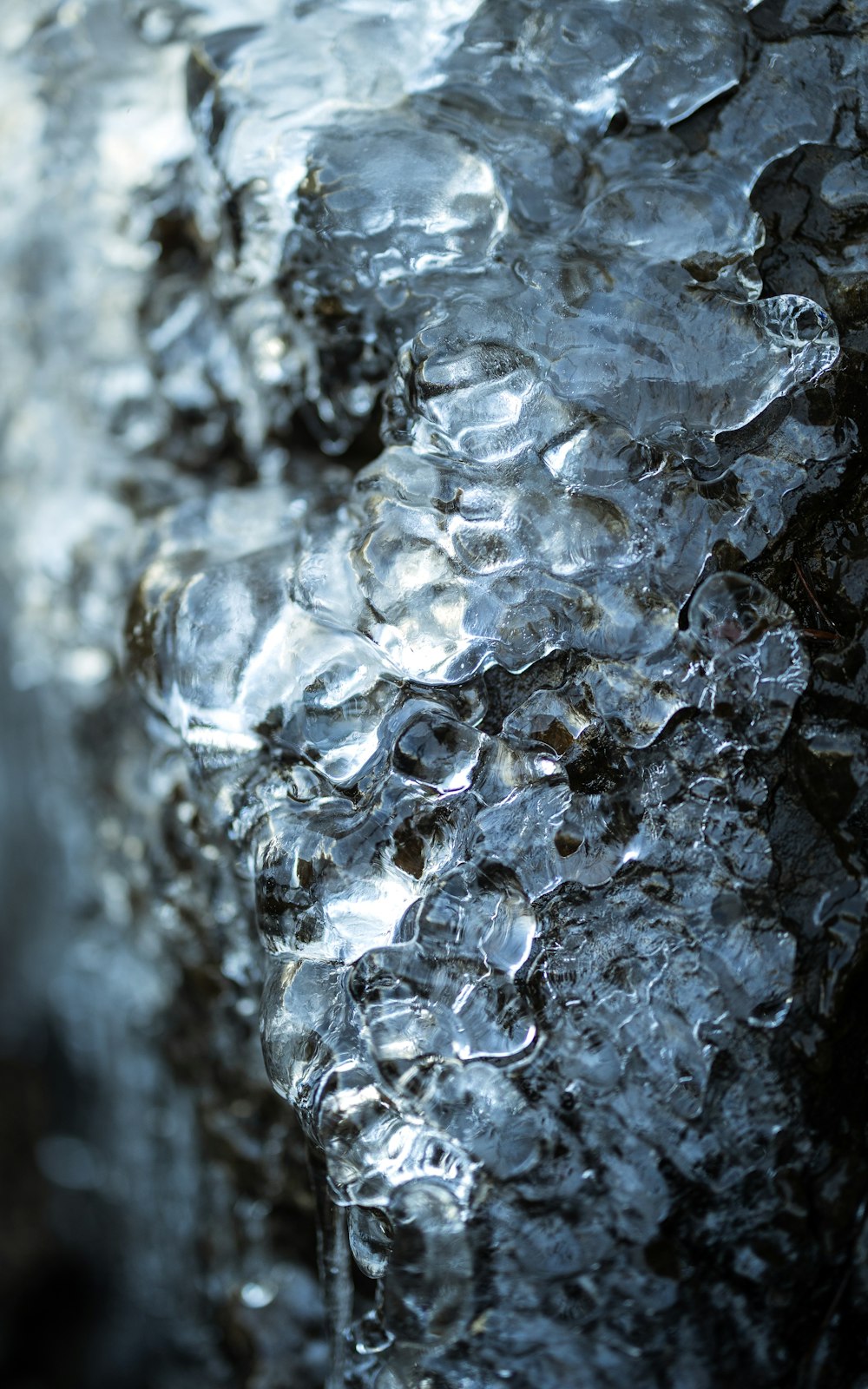 a close up of ice on a rock