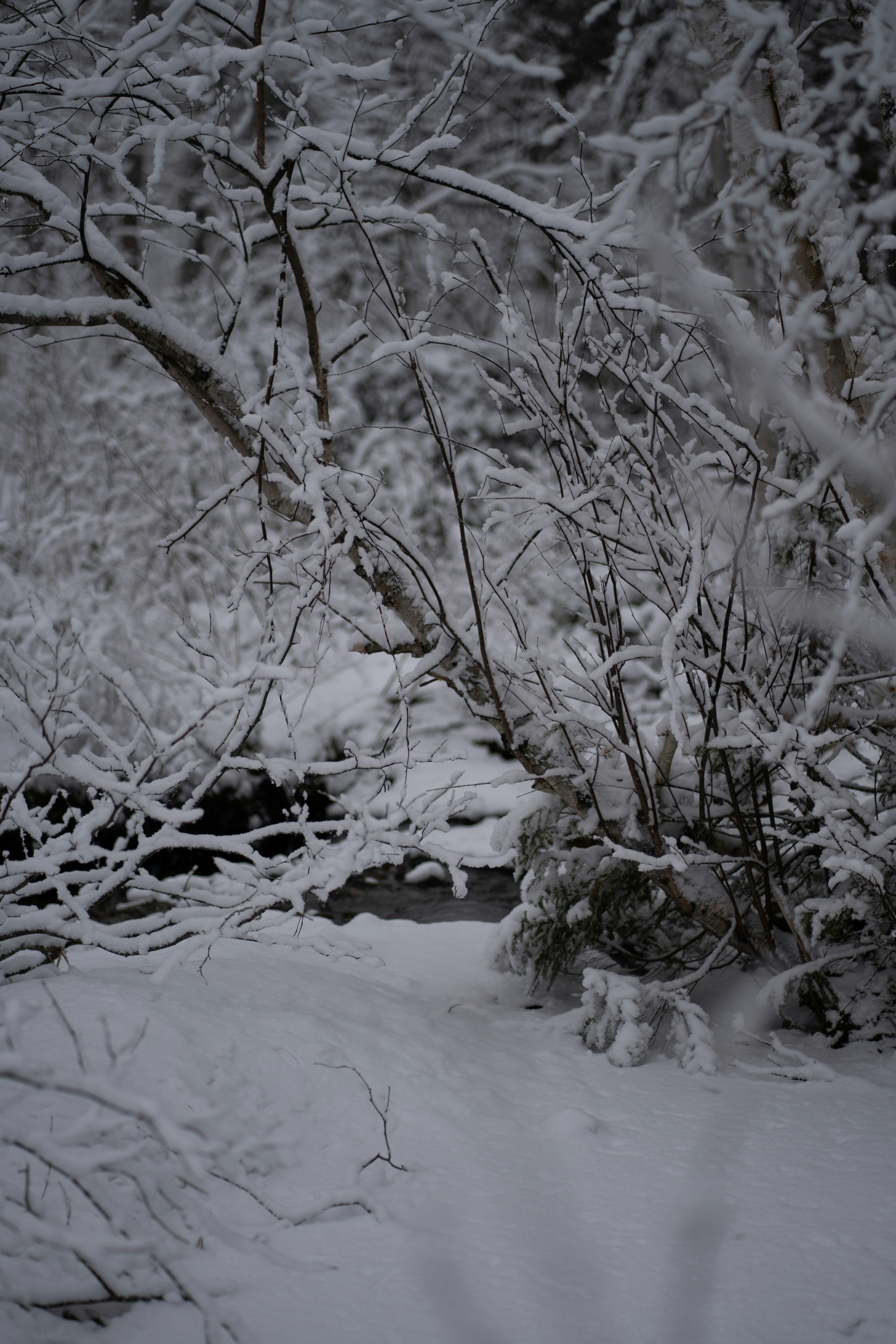 Photo by jltphotographe