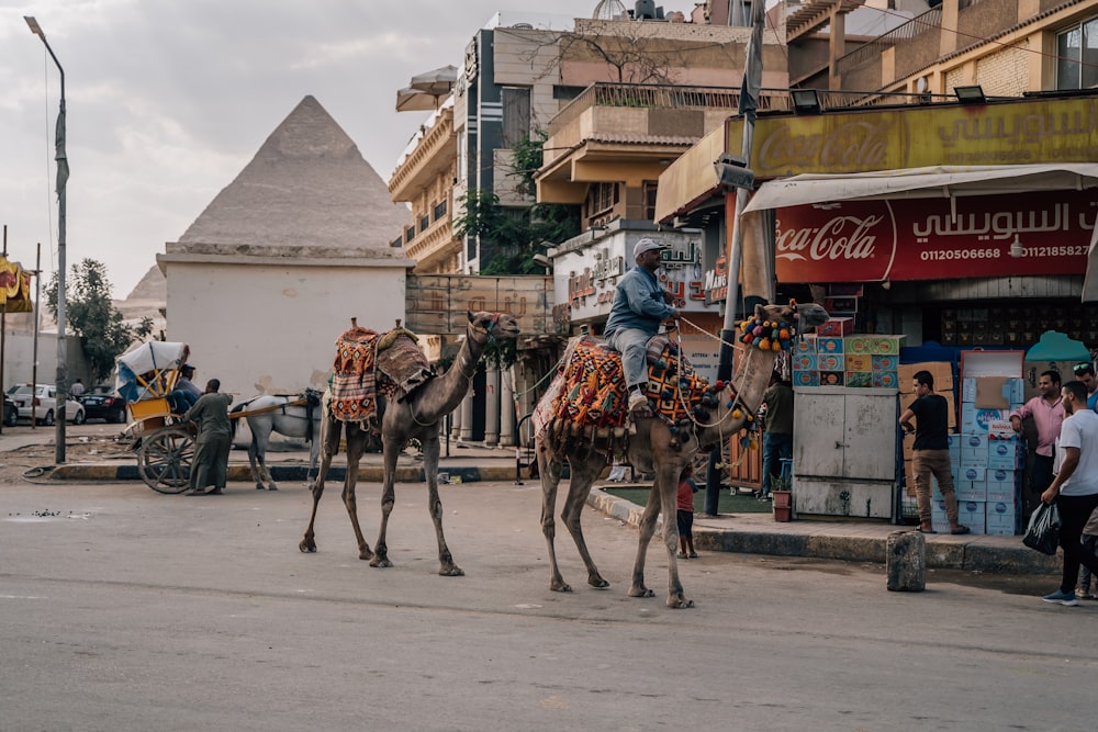 a group of people riding camels down a street