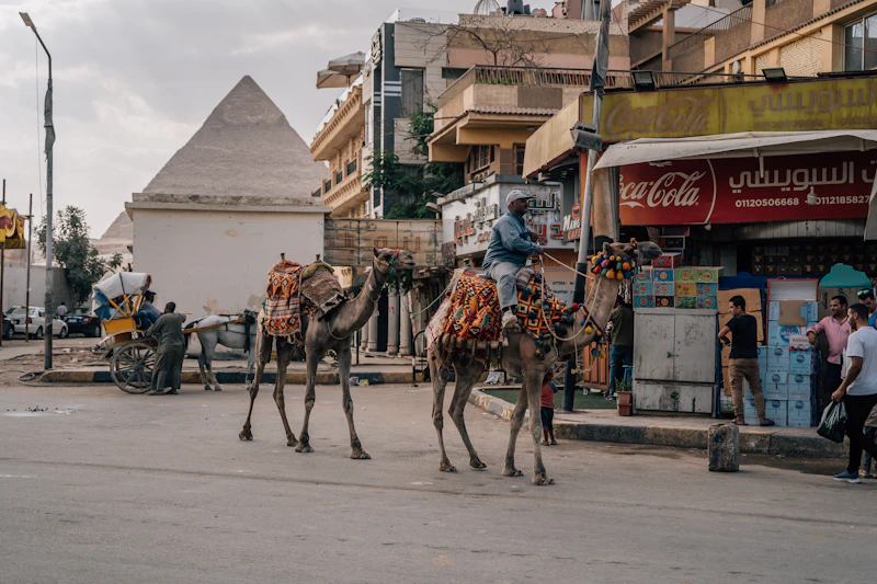 Best Budget Eats in Cairo: Great Food Without the Big Bill