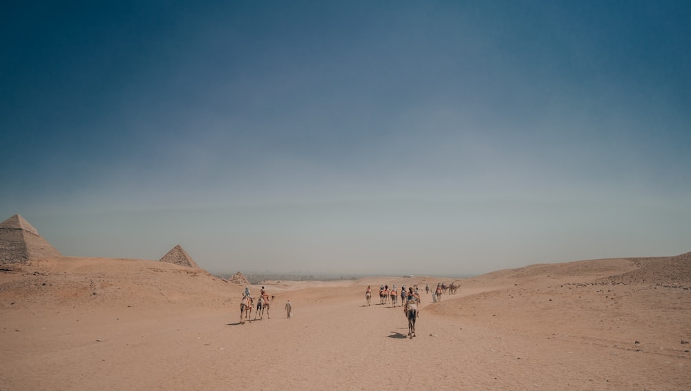 a group of people walking across a sandy field