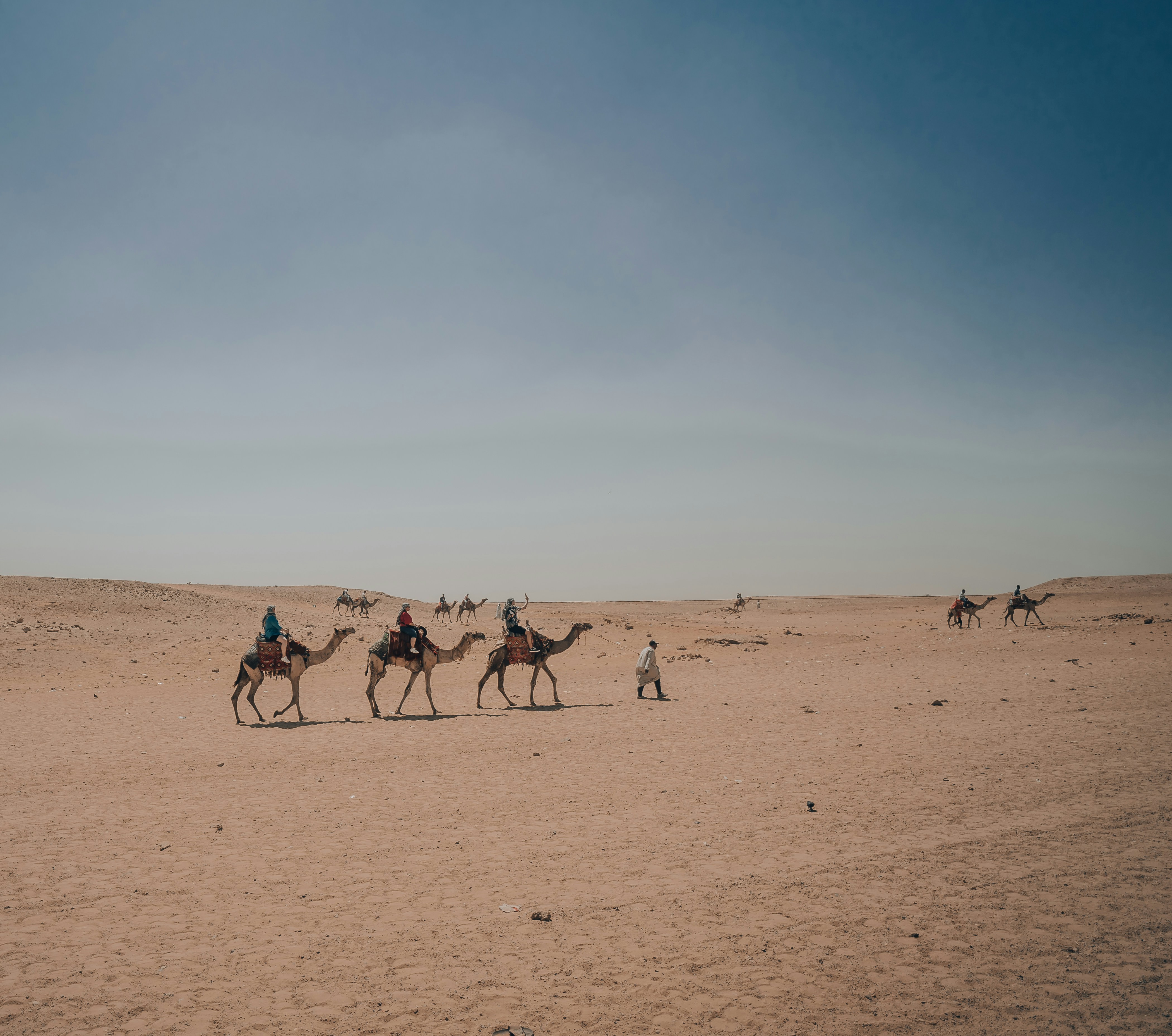 A group of people riding camels across a desert