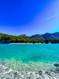 a body of water surrounded by mountains and trees