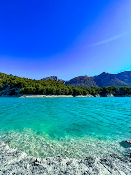 a body of water surrounded by mountains and trees