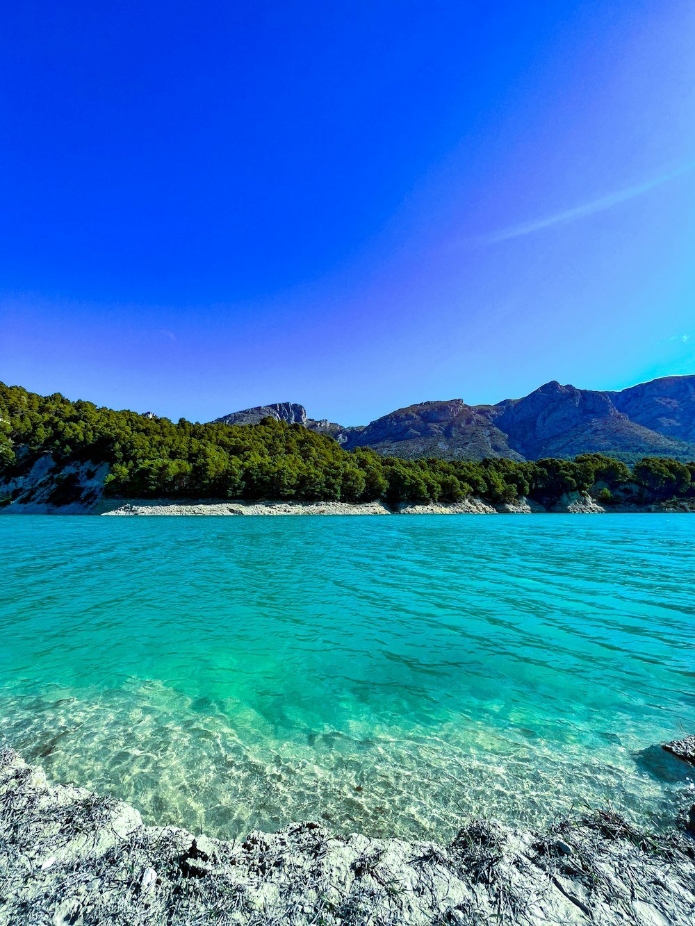 a body of water surrounded by mountains and trees