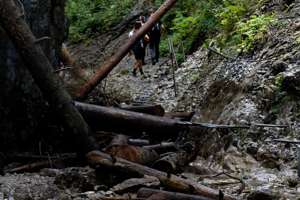 a group of people walking down a muddy trail