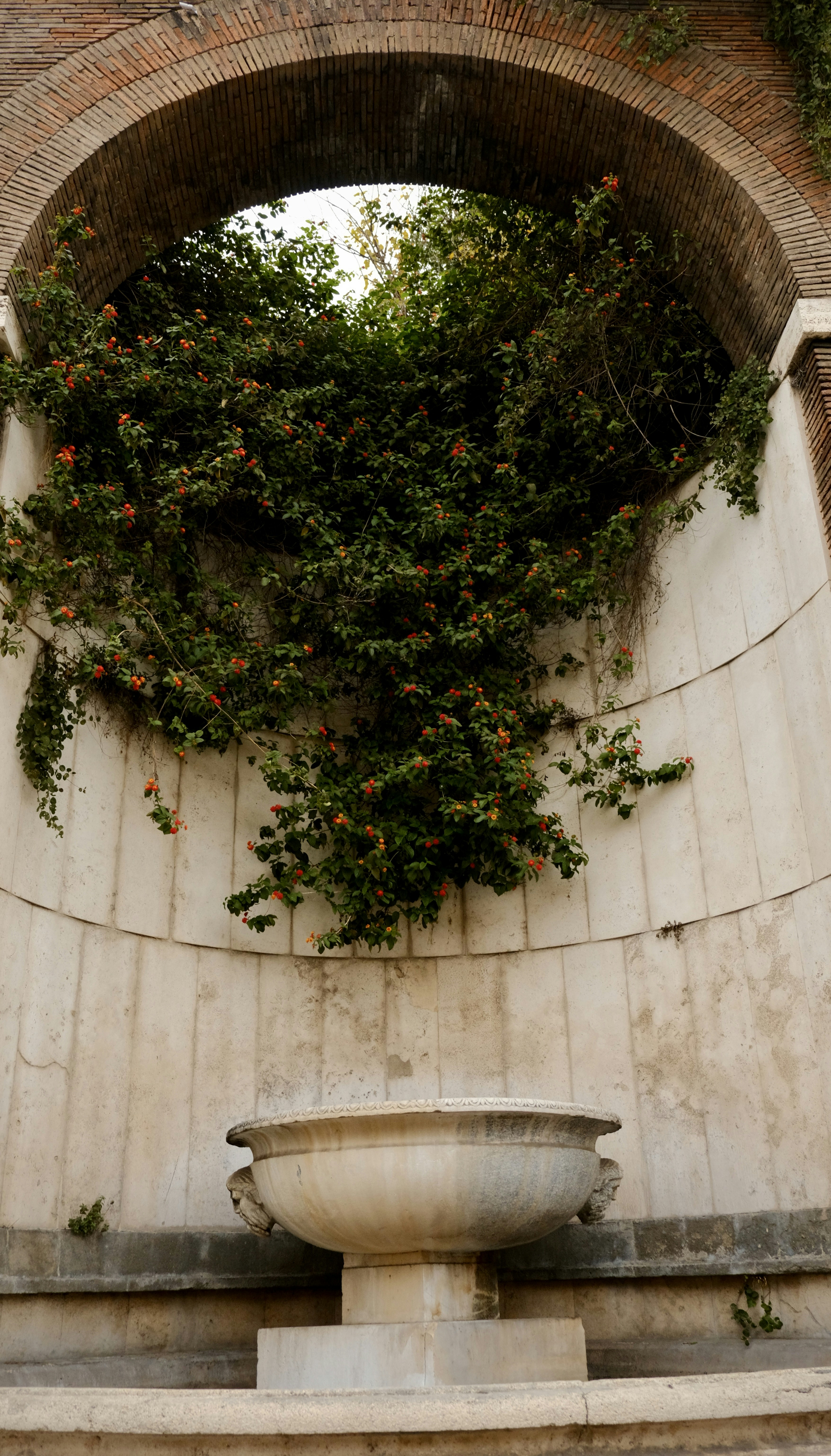 a stone fountain with a plant growing over it