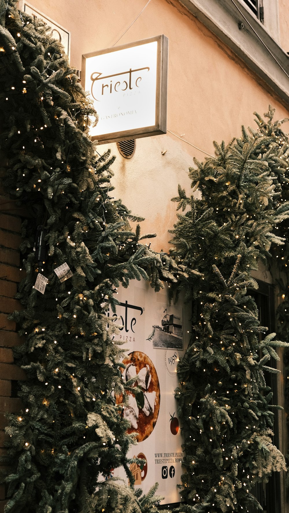a christmas tree outside of a store front