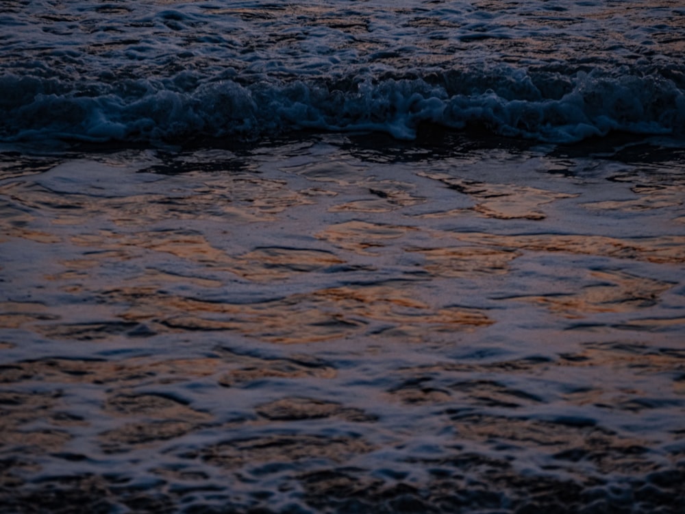 a bird flying over a body of water