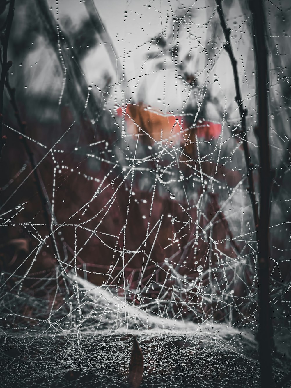 a spider web in front of a red truck