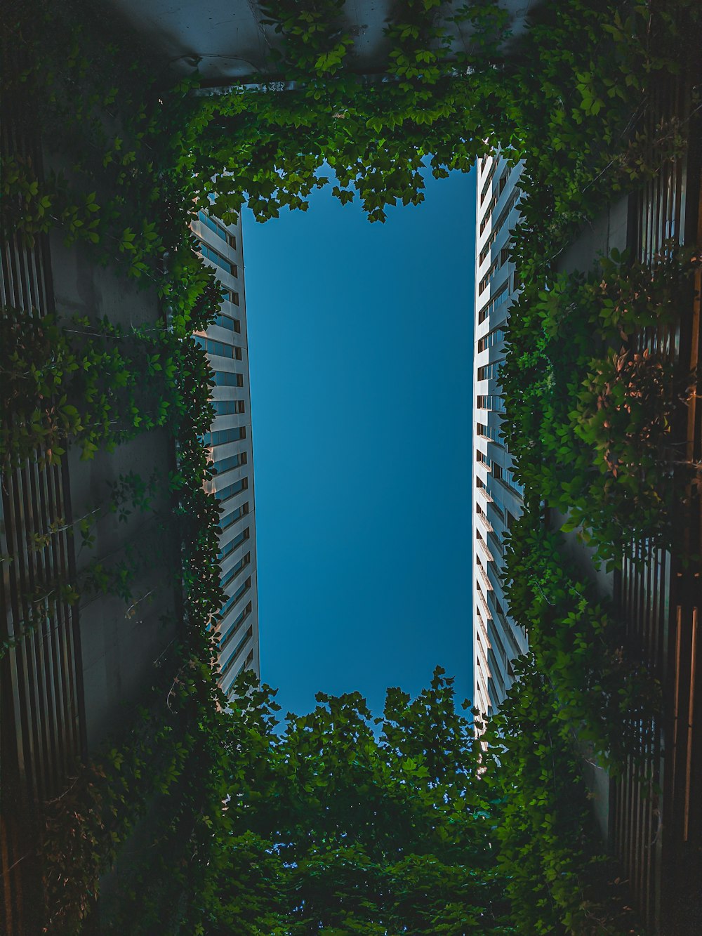 a view of a building through the trees