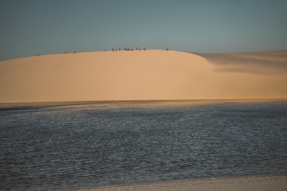 a group of people standing on top of a sand dune