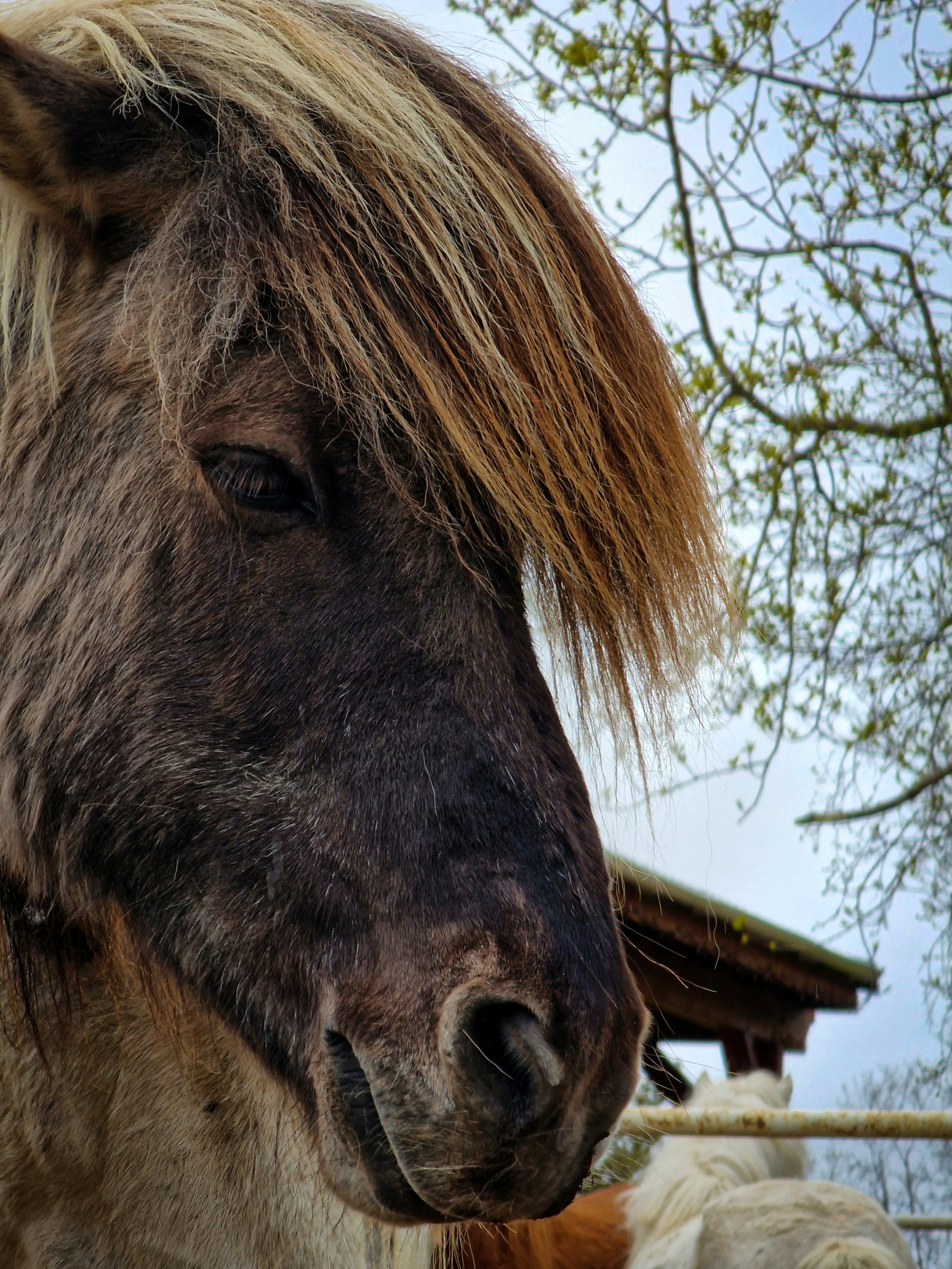 Photo by andrewmcmachnik