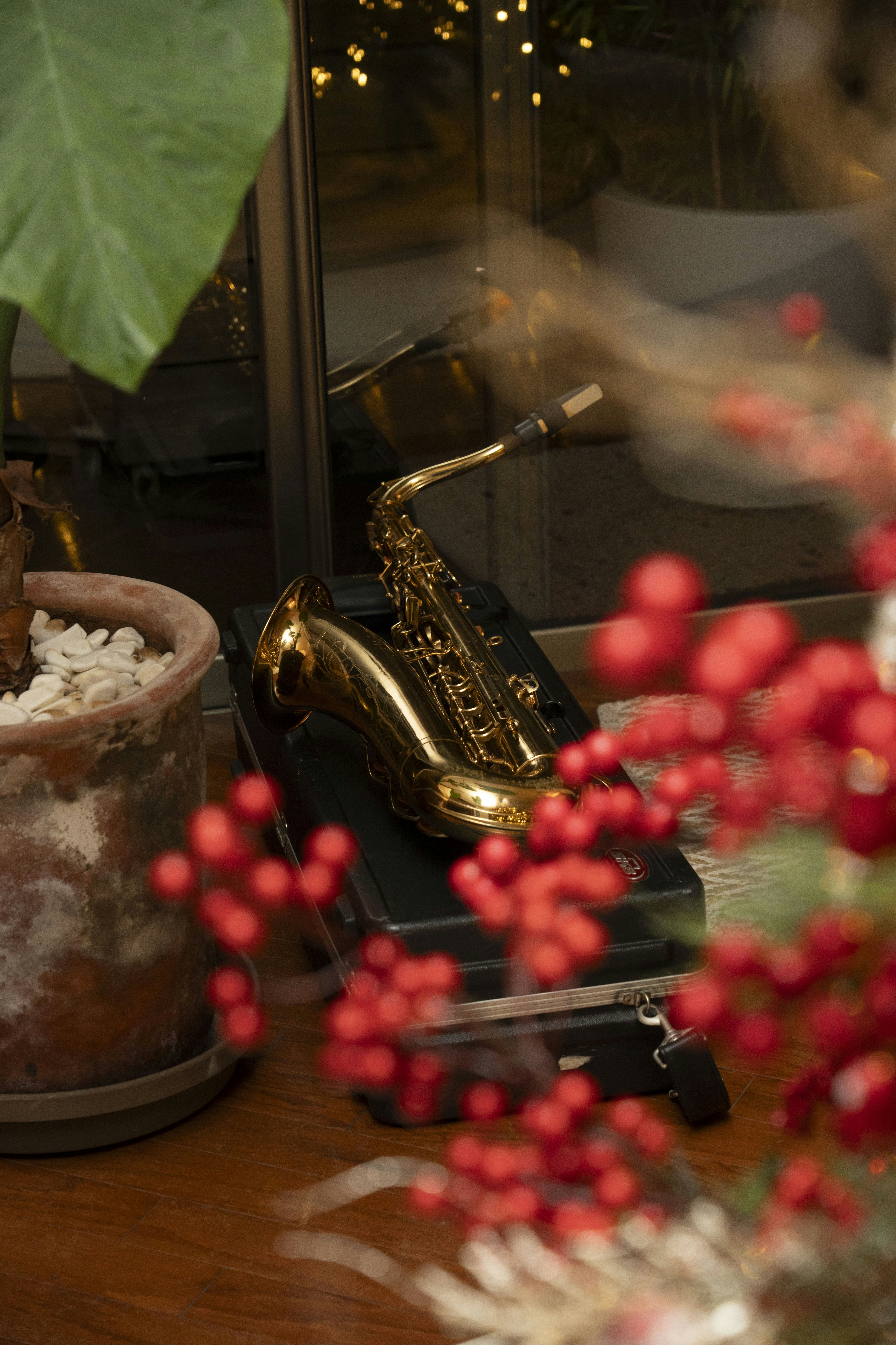 a table topped with a potted plant next to a saxophone