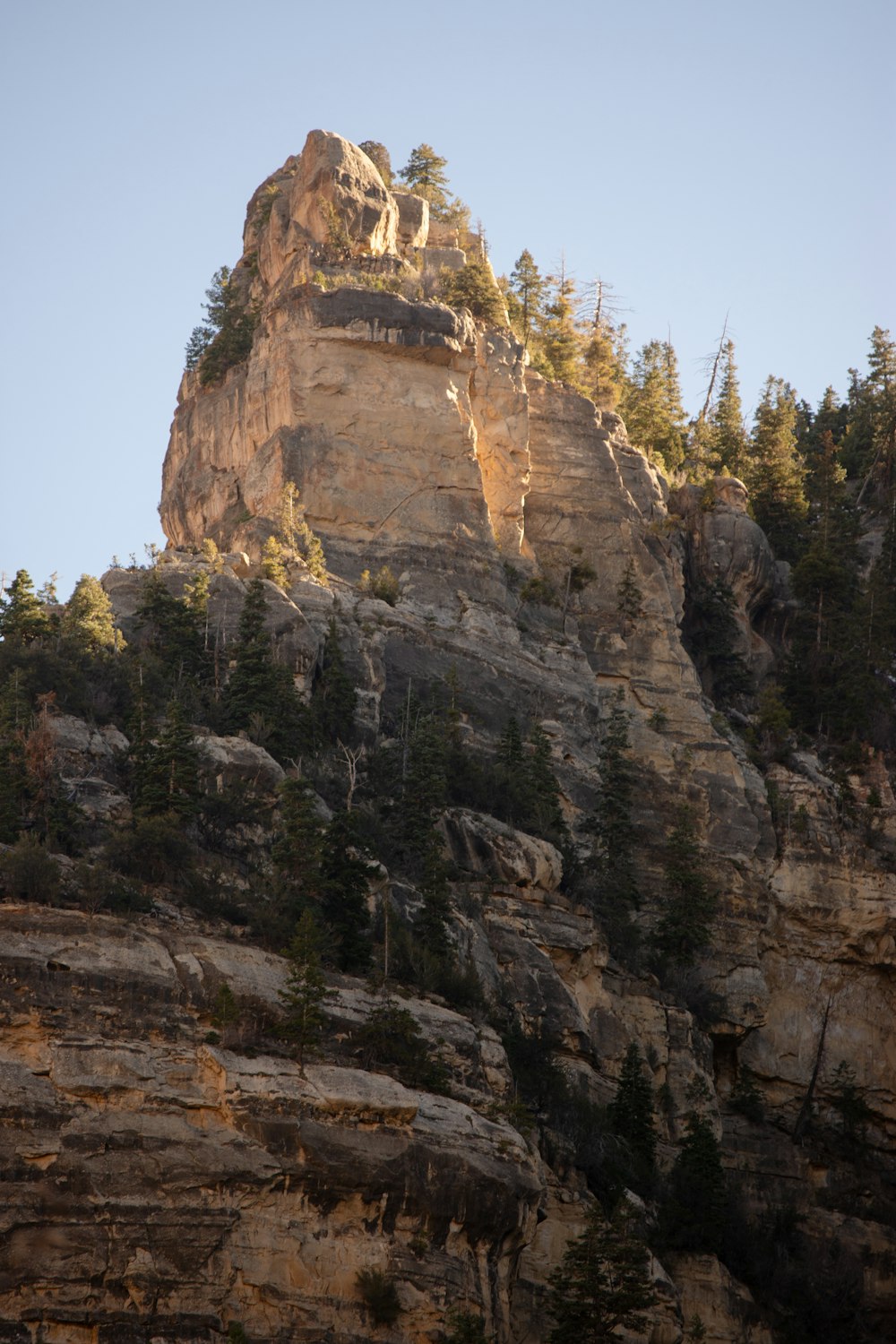 a rocky mountain with trees on top of it