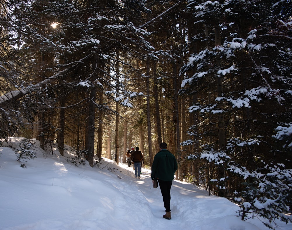 a couple of people that are walking in the snow