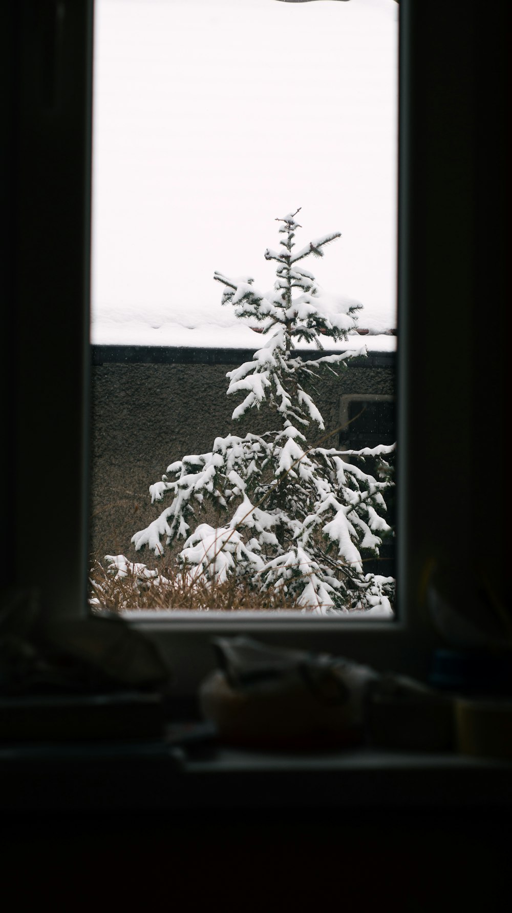 a snow covered tree outside of a window