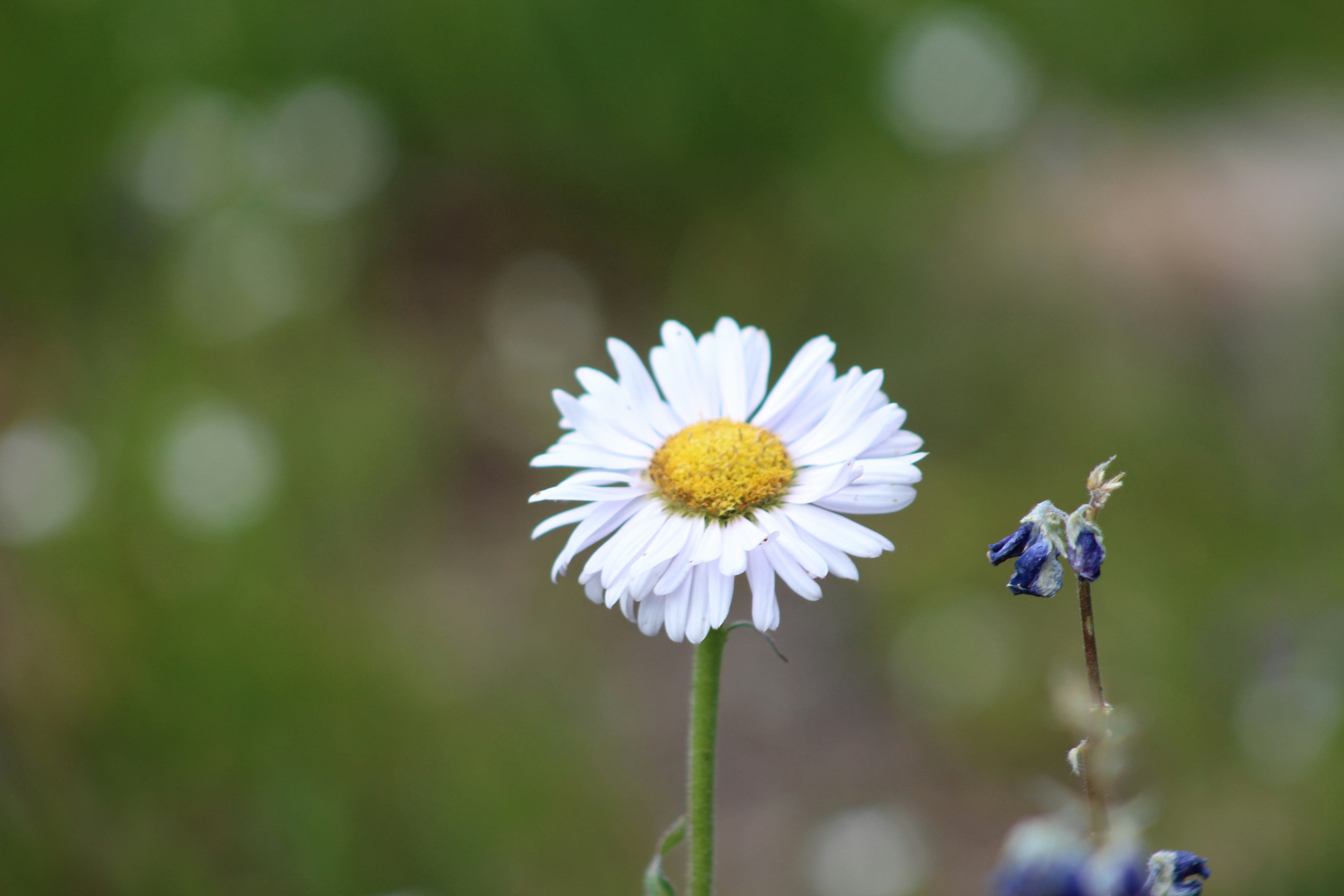 Photo by photoswithgabe