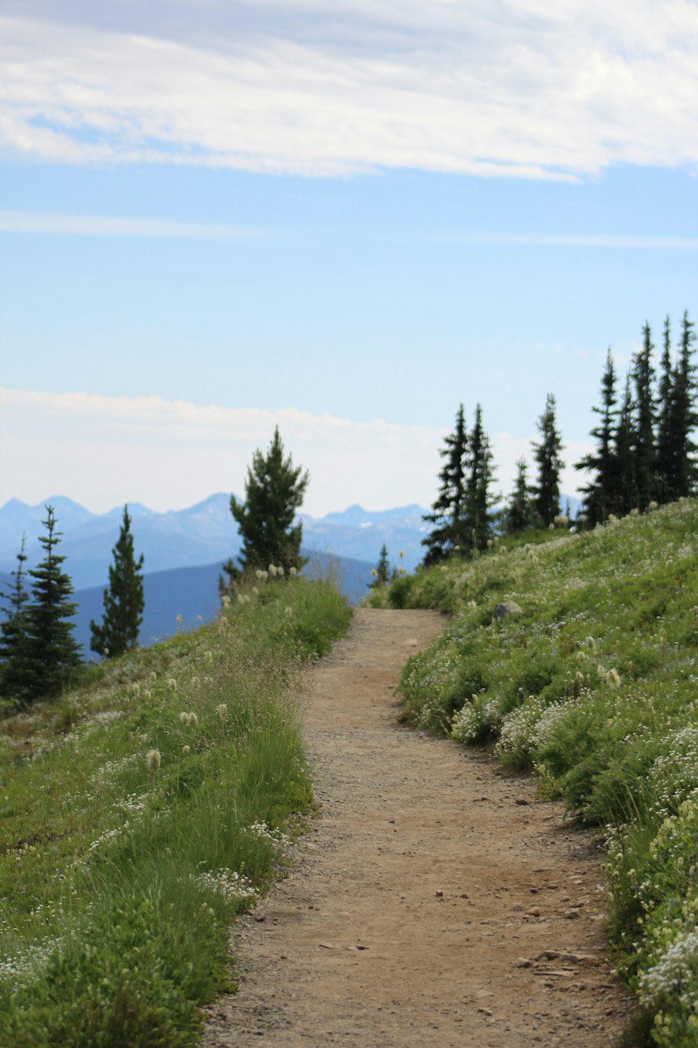 a dirt path going up a grassy hill