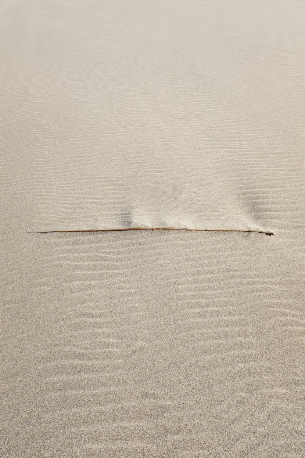 a sand dune with a small patch of sand in the middle of it