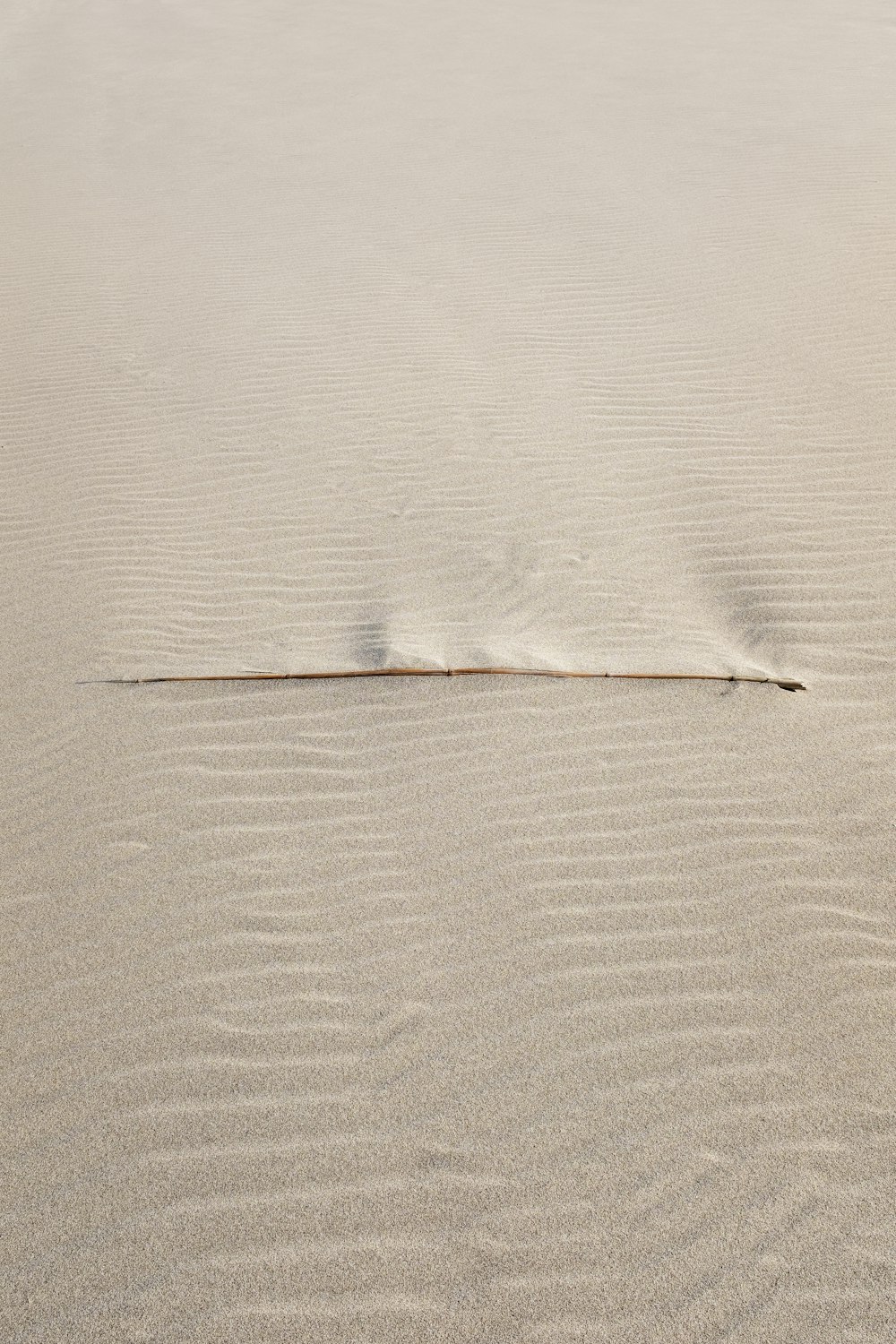 une dune de sable avec une petite parcelle de sable au milieu de celle-ci