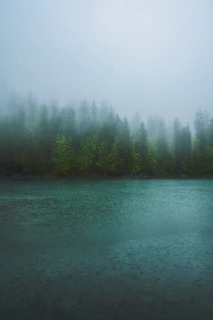 a body of water with trees in the background