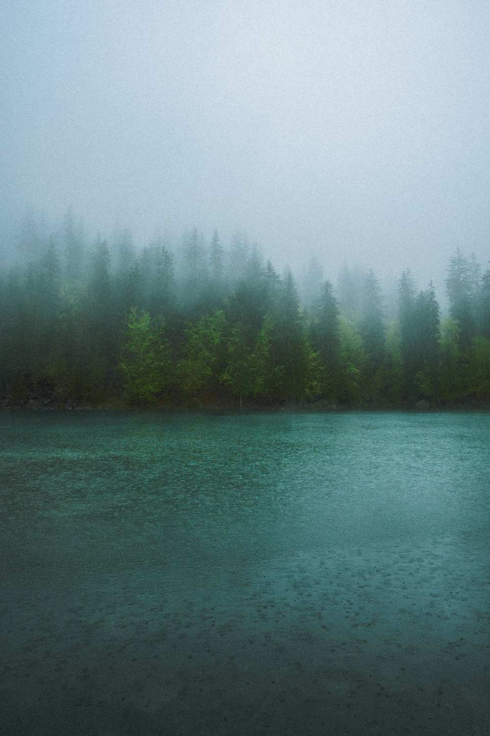 a body of water with trees in the background