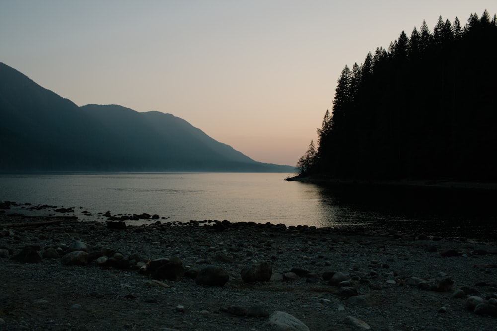 a body of water surrounded by trees and rocks