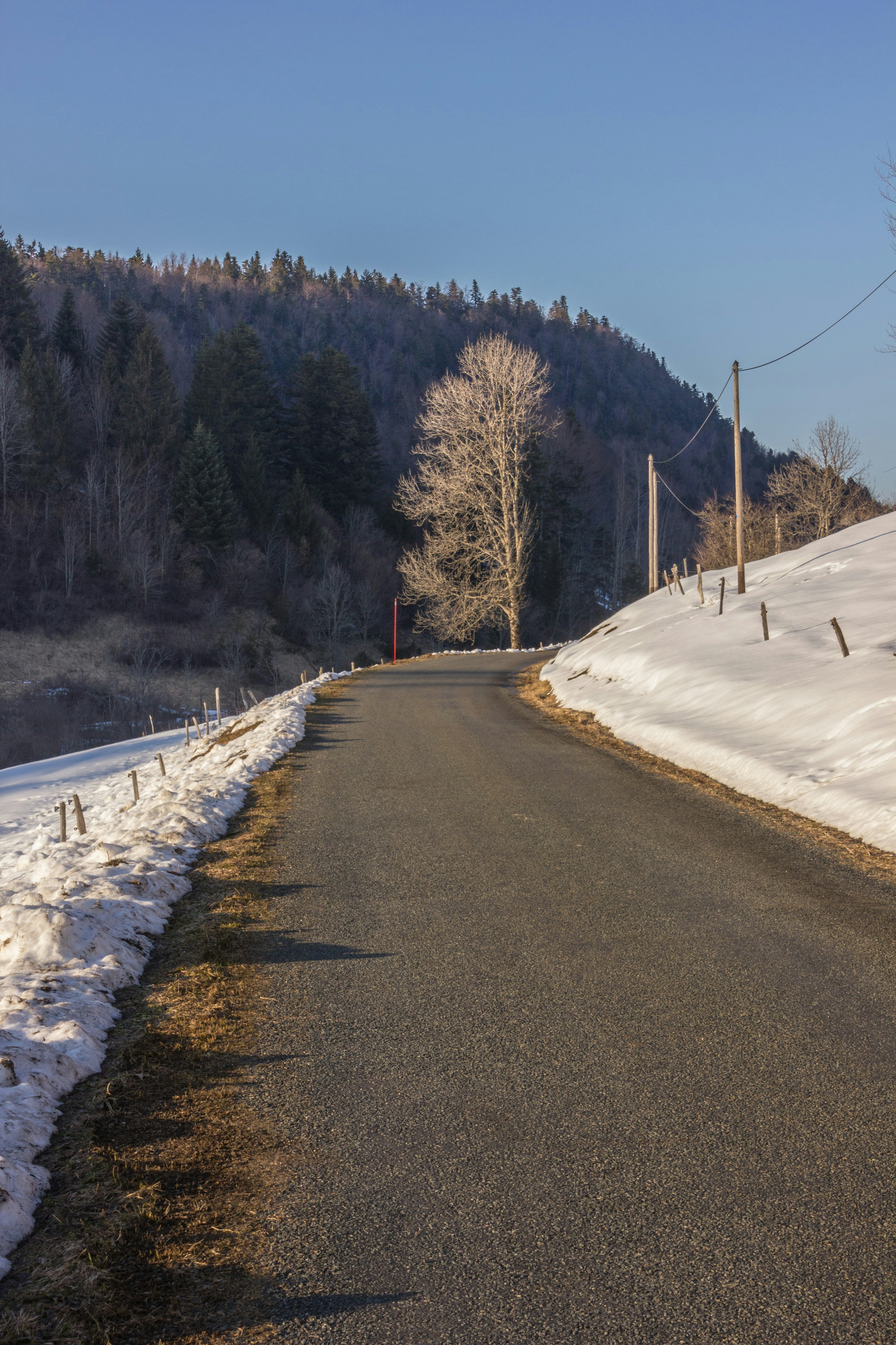 Photo by pir