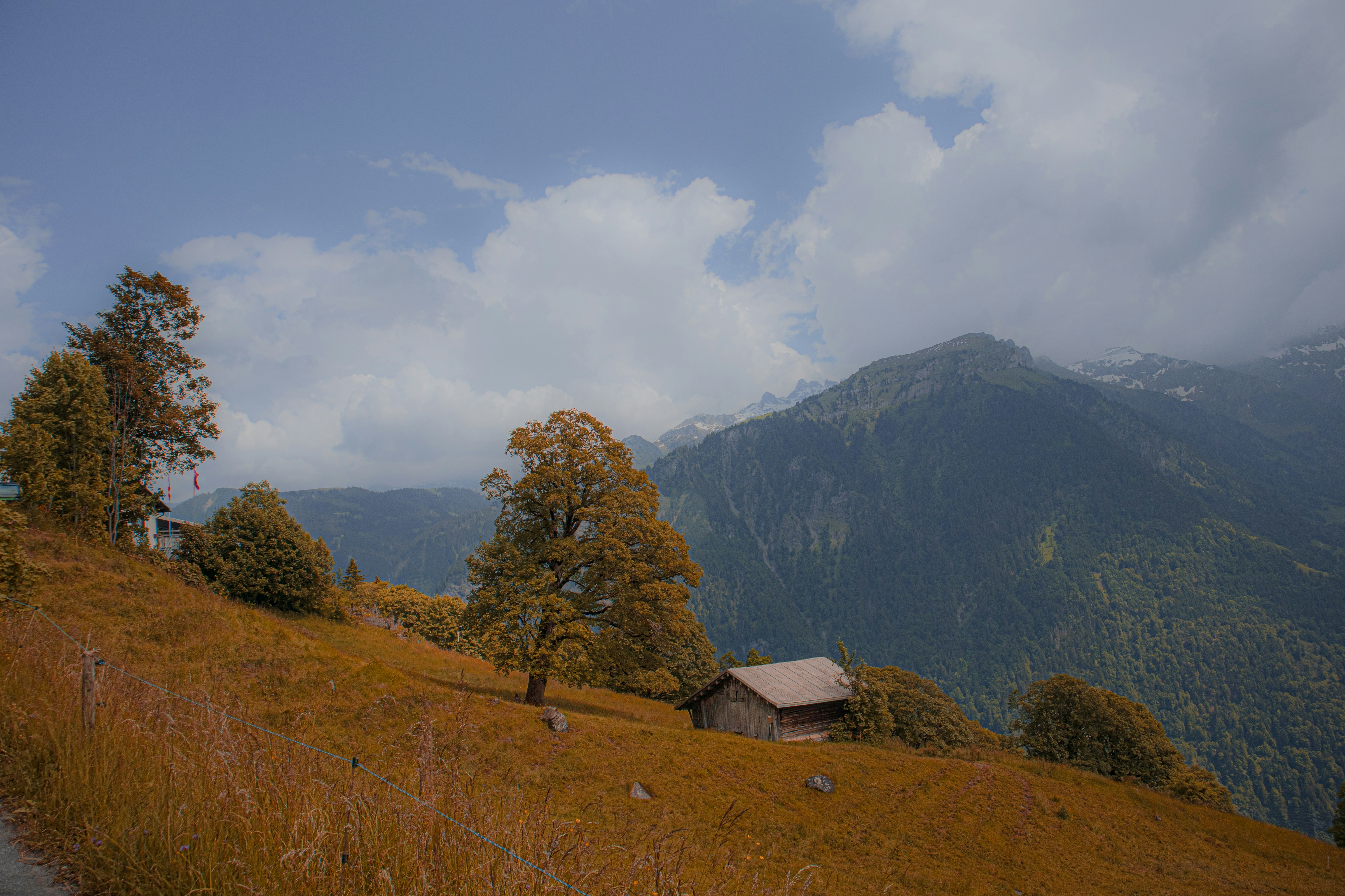 Photo by bryandijkh