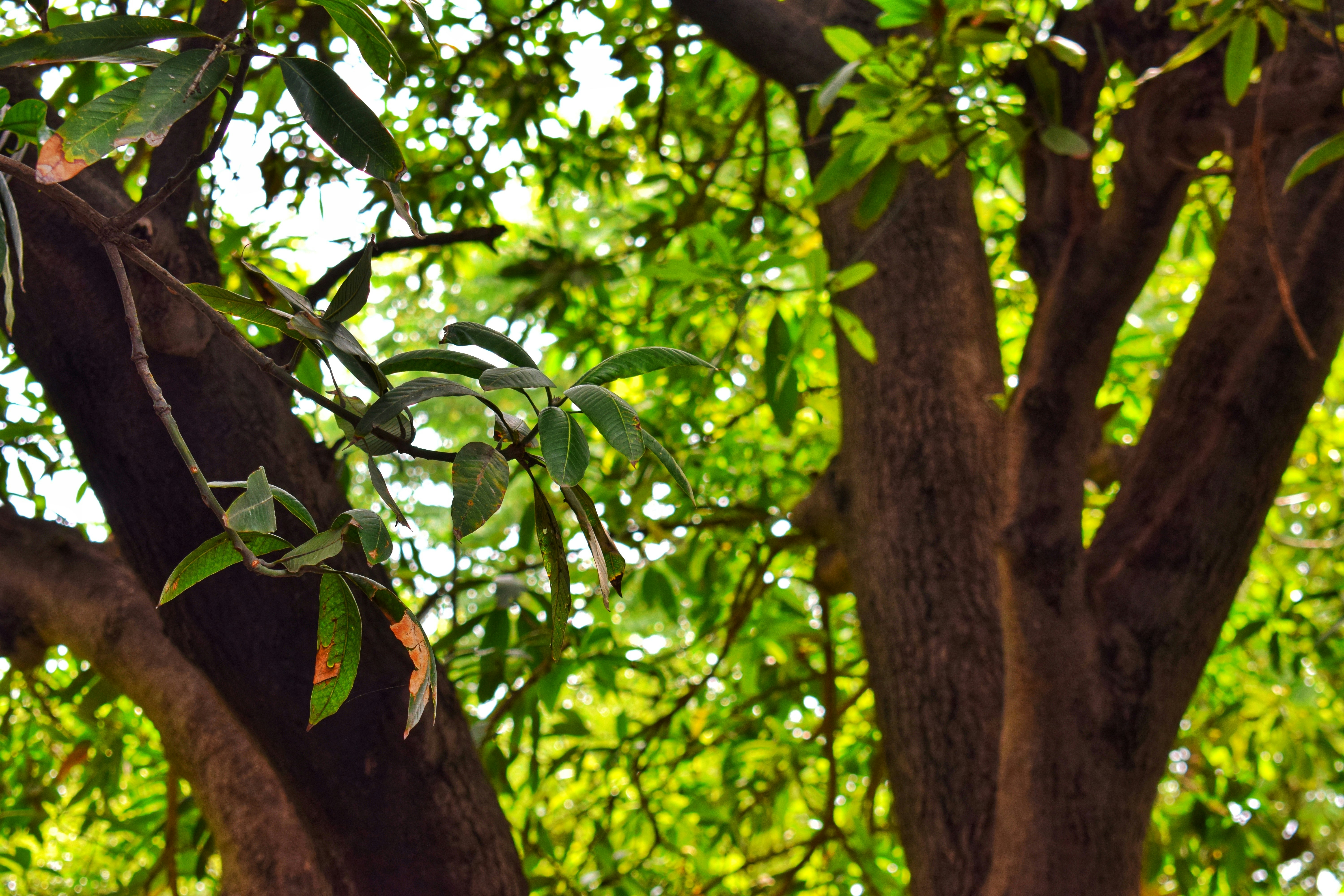 Photo by adityadoliya