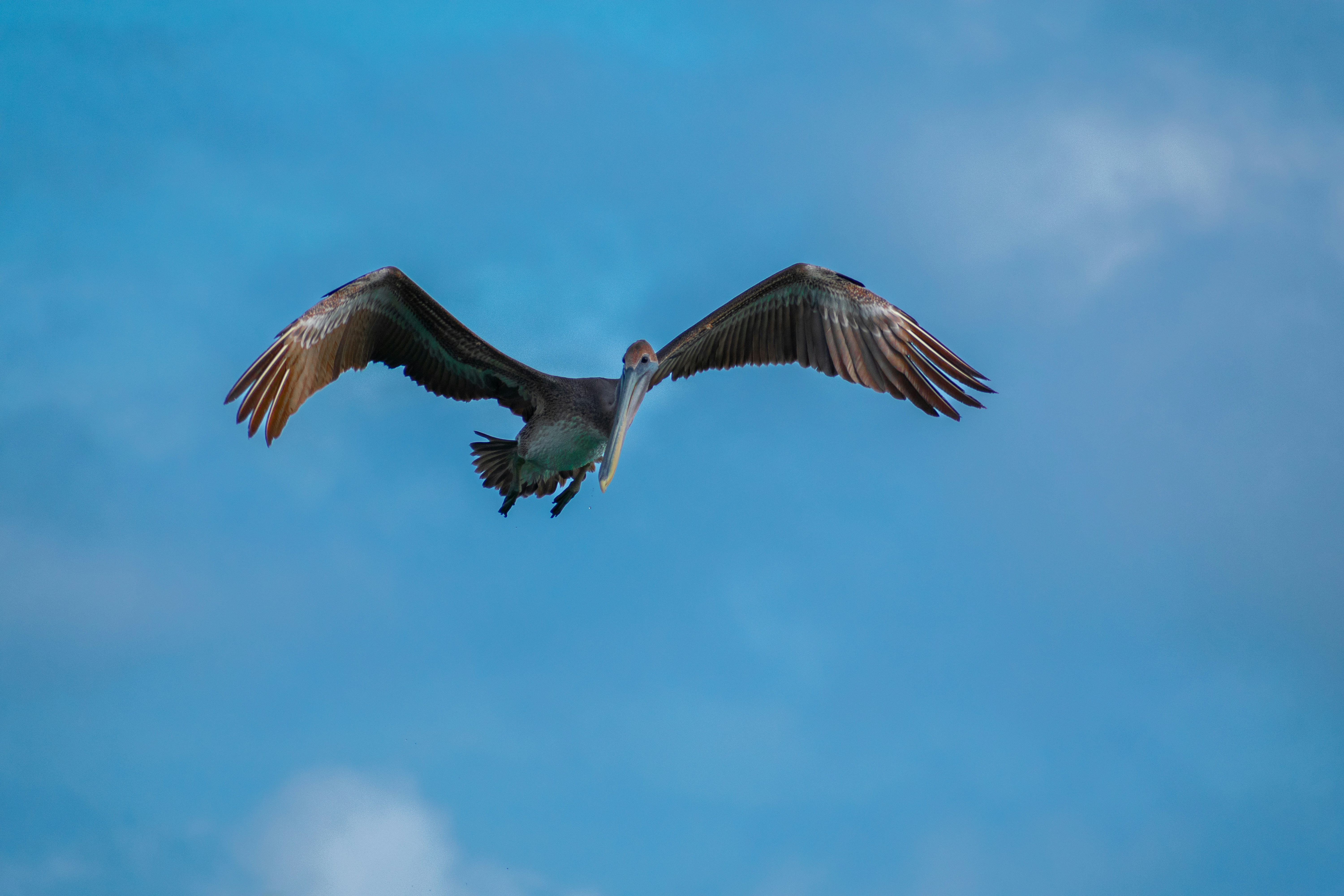 Photo by probablyrobin