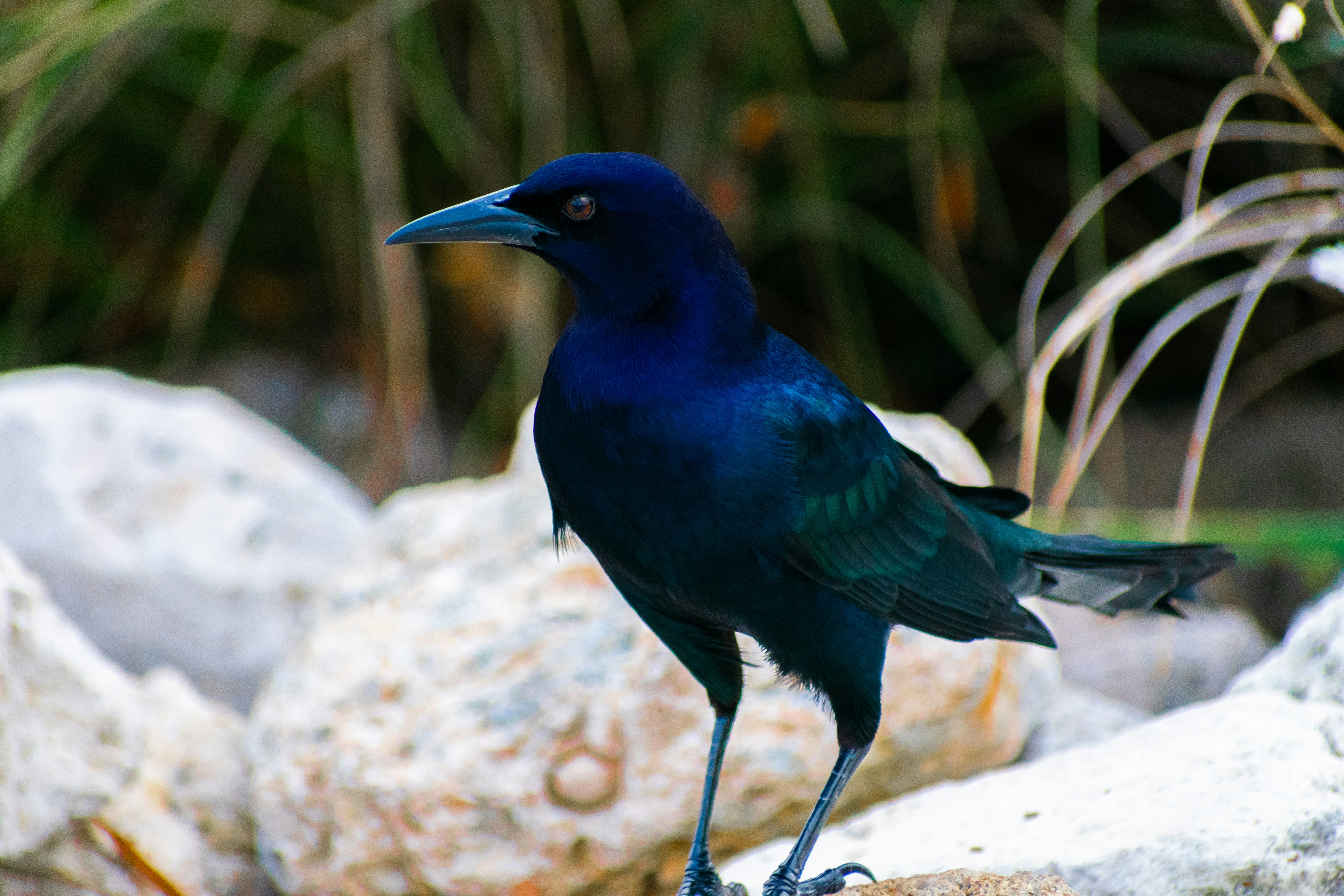 Photo by probablyrobin