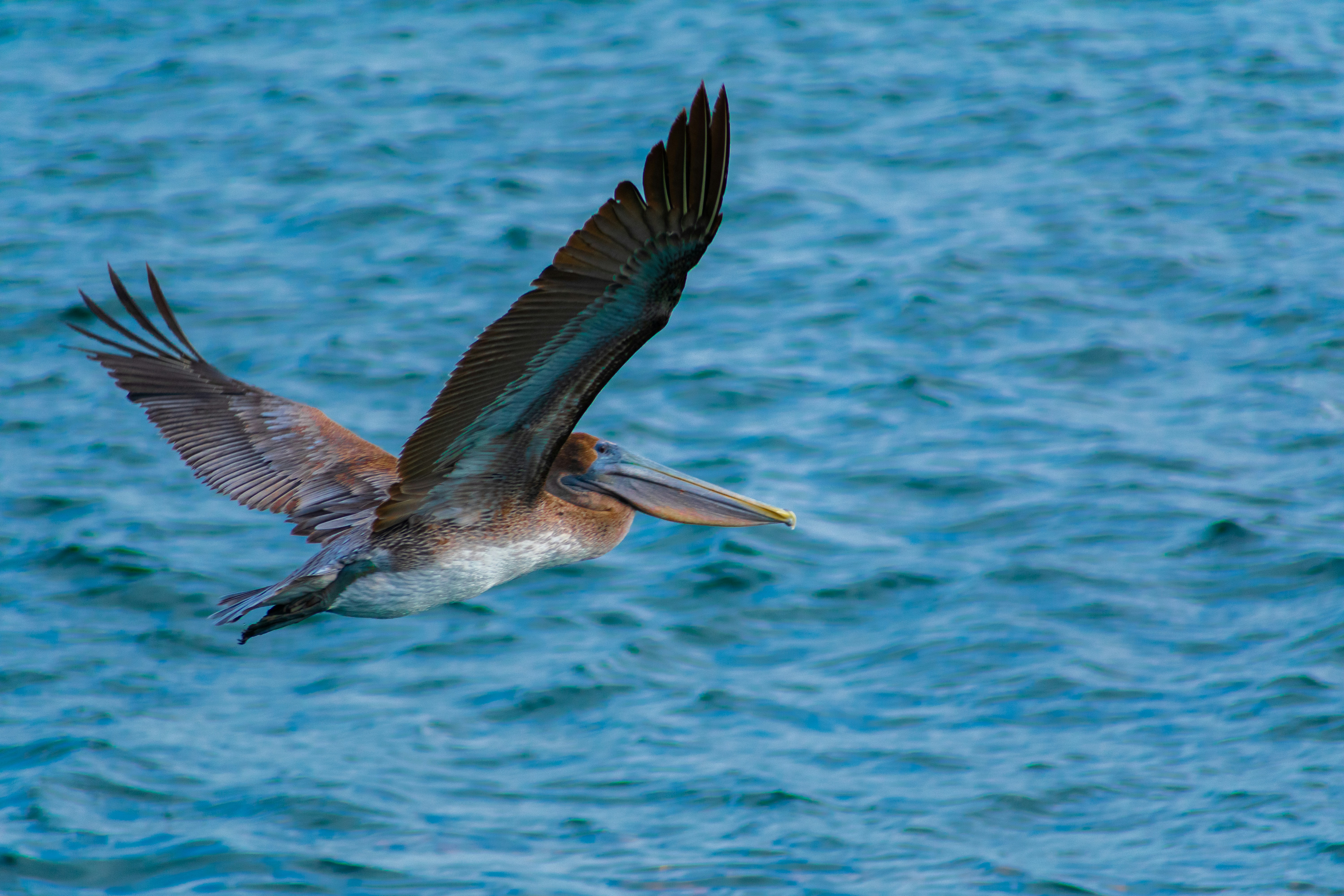 Photo by probablyrobin