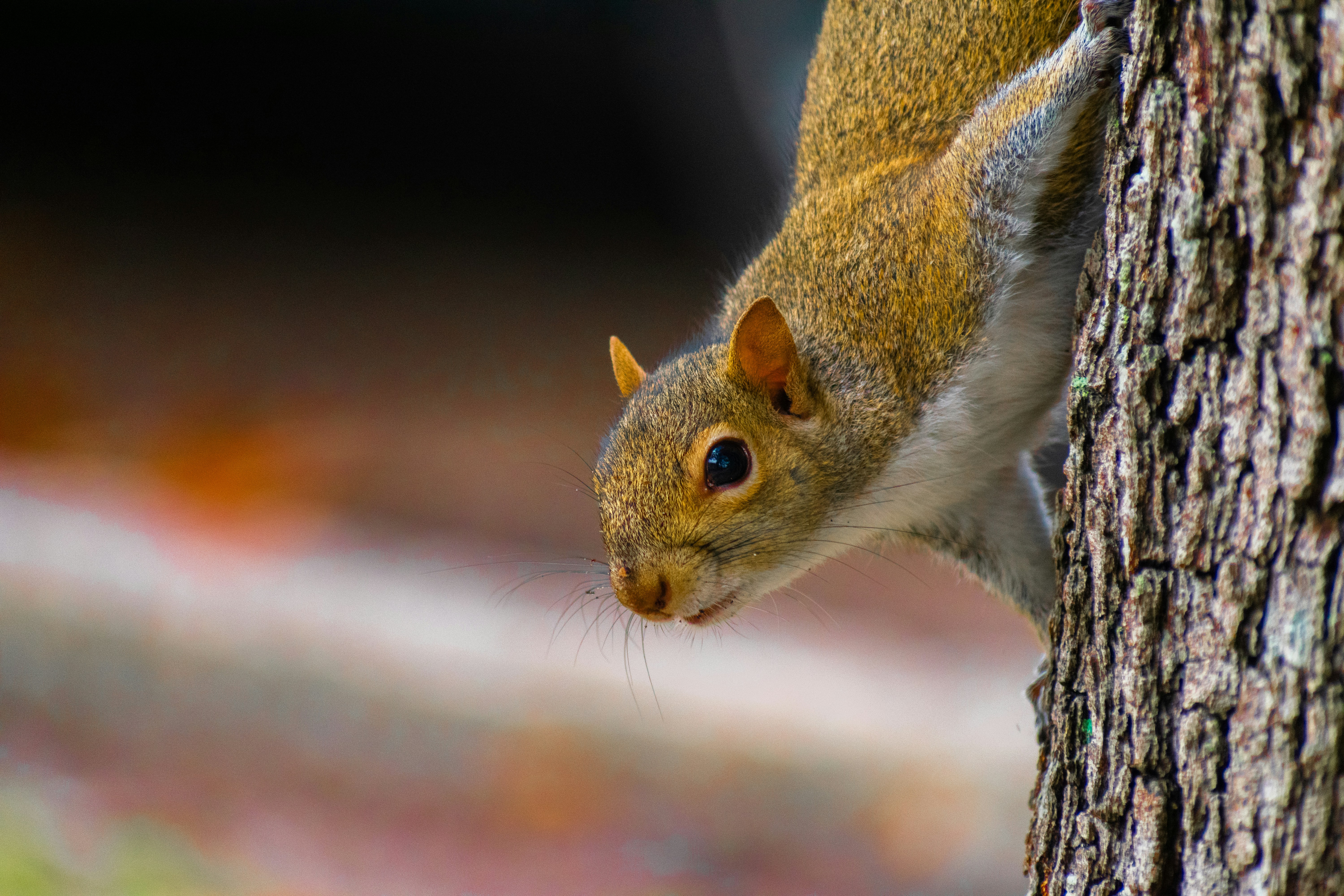 Photo by probablyrobin