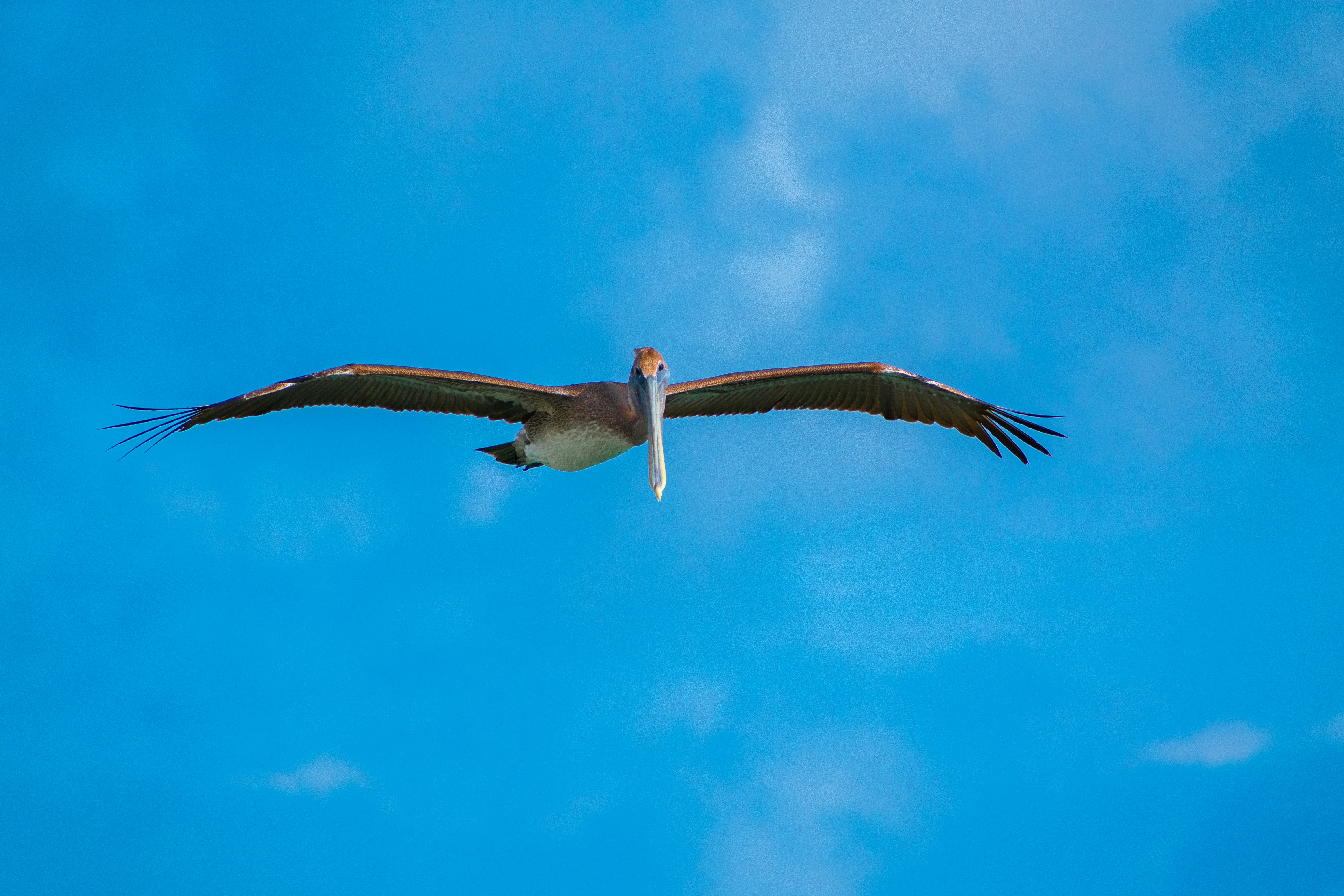 Photo by probablyrobin