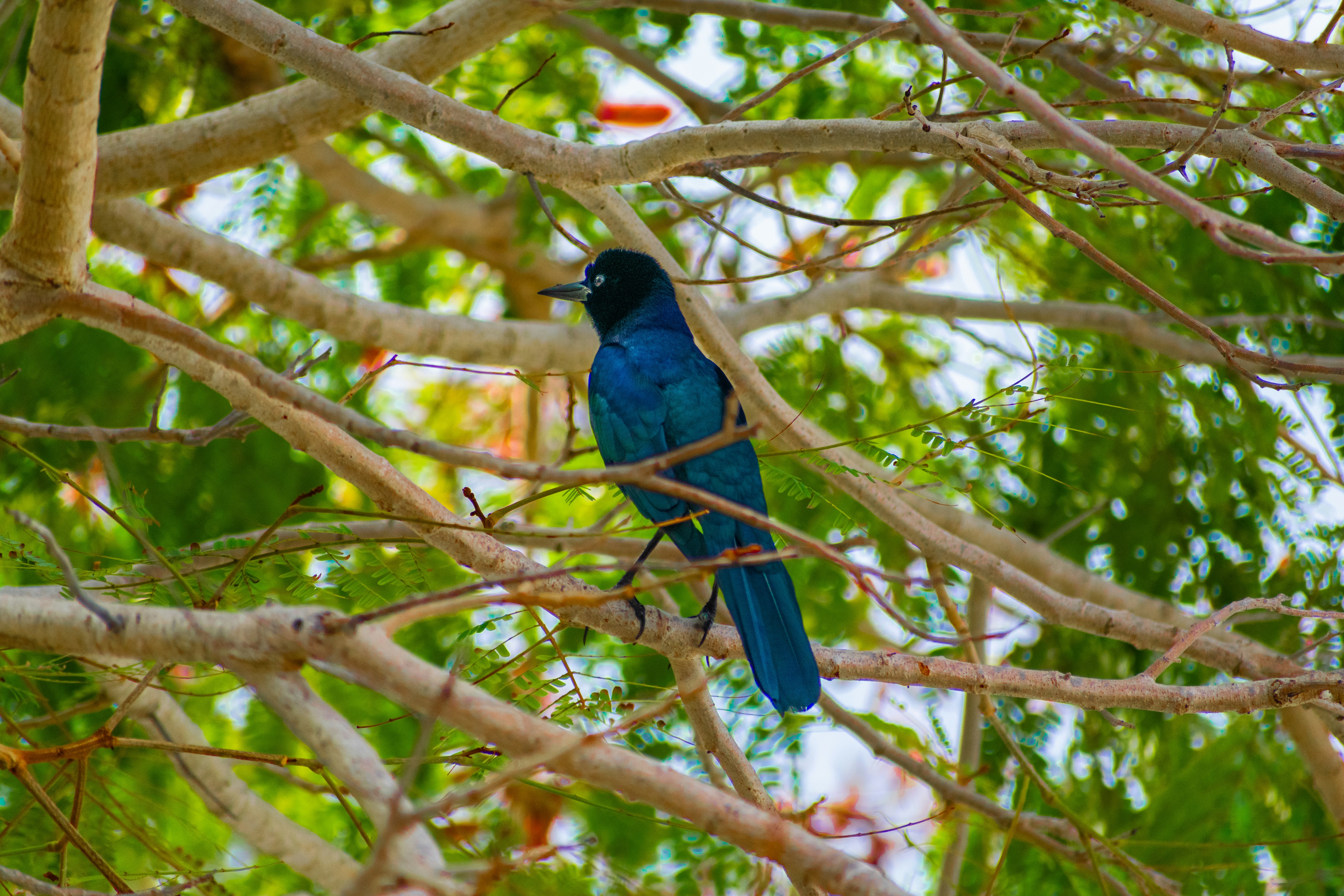 Photo by probablyrobin