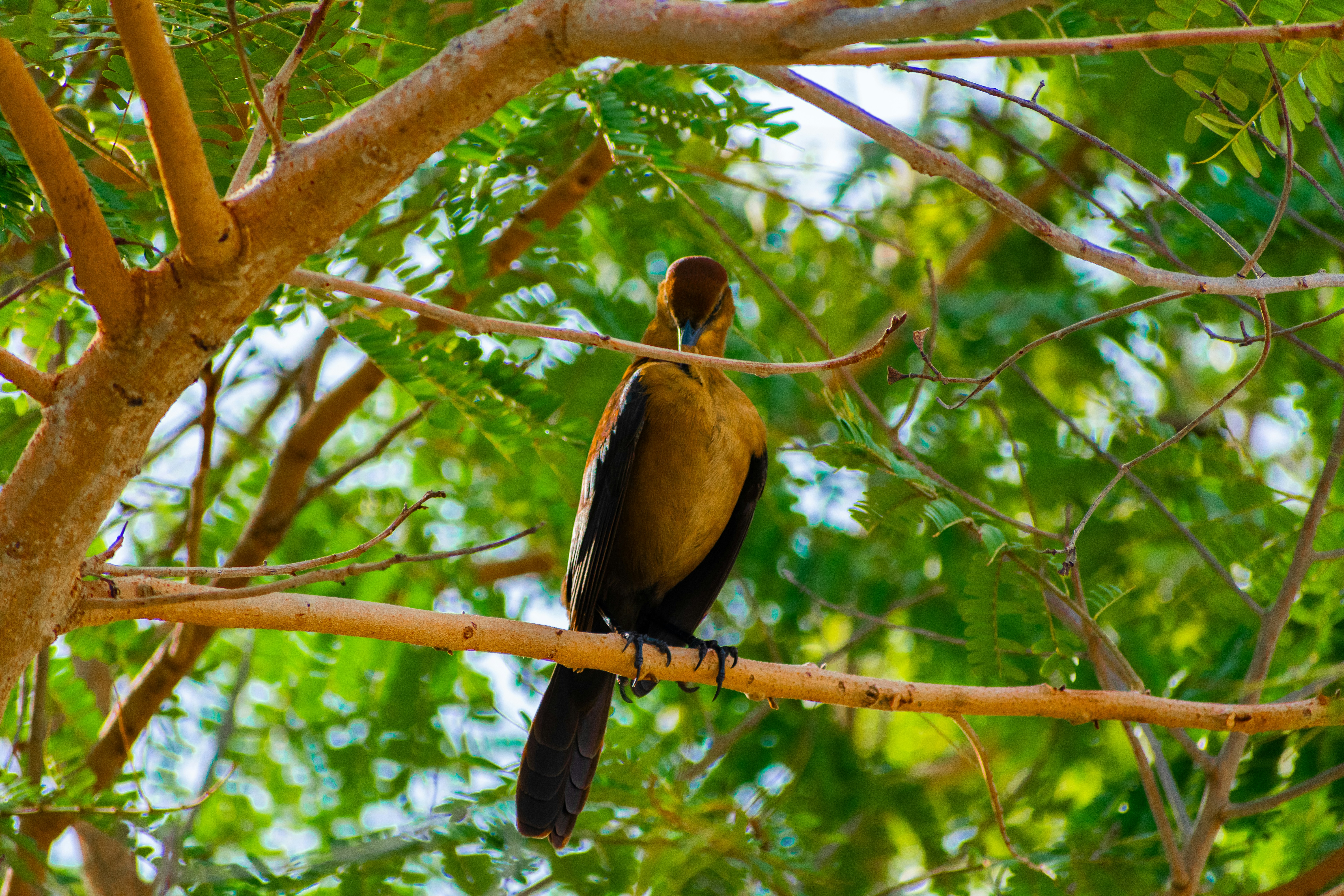 Photo by probablyrobin