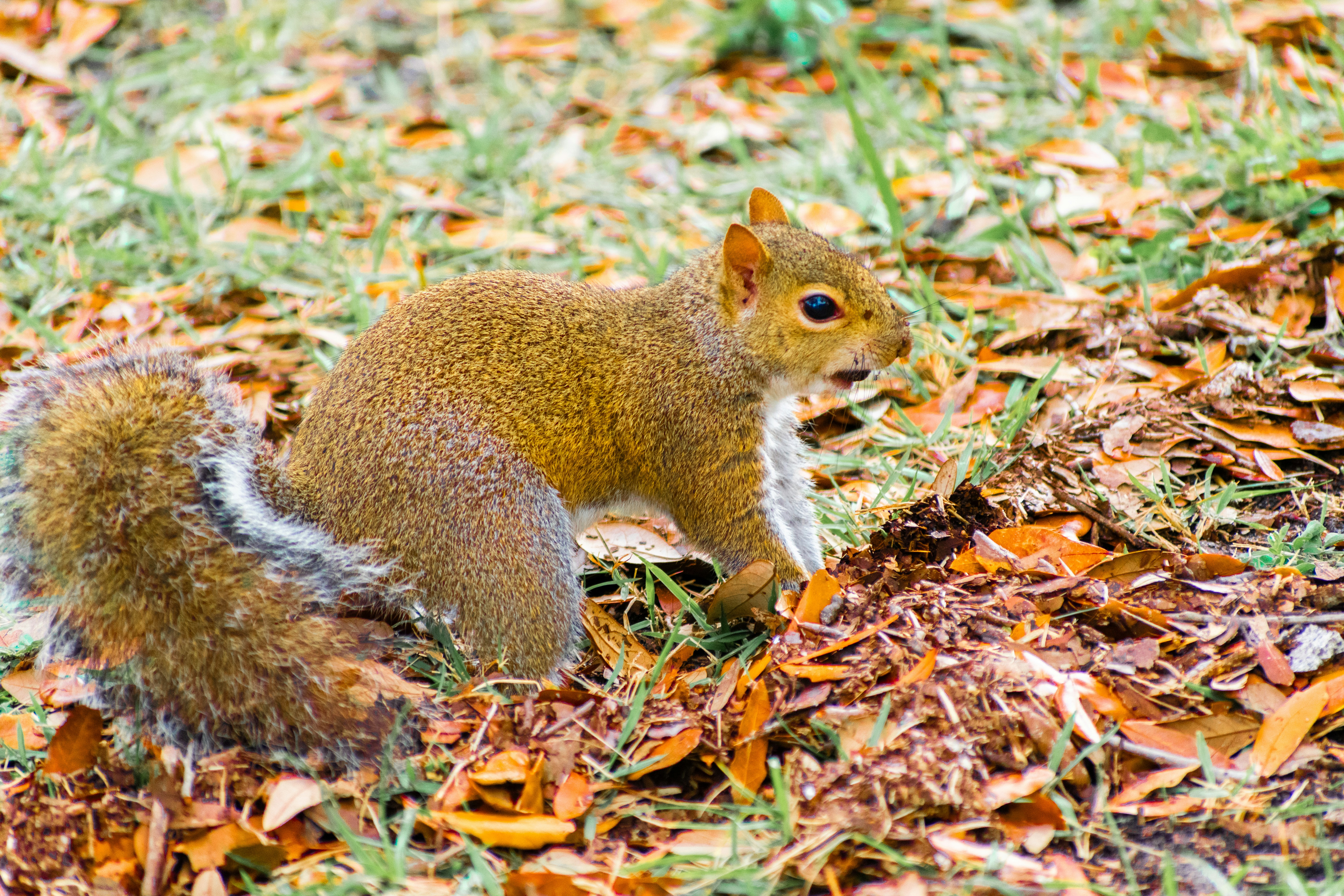 Photo by probablyrobin